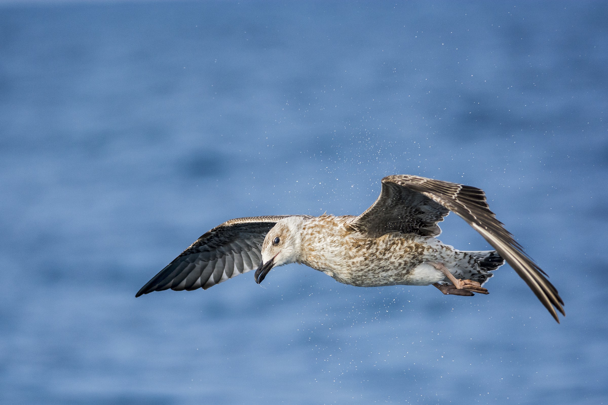 Un'asciugatura rapida