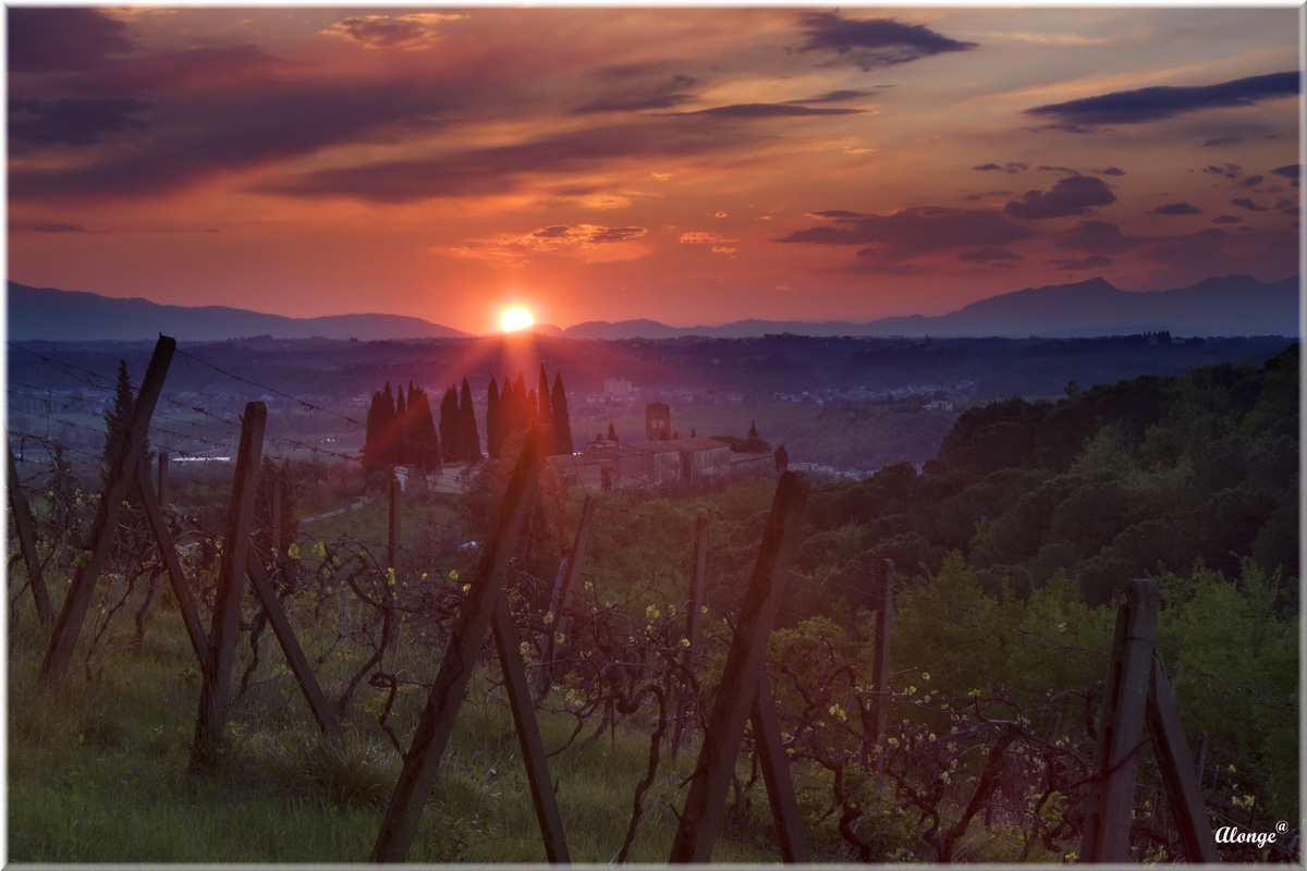 Montelupo F.no - Castello