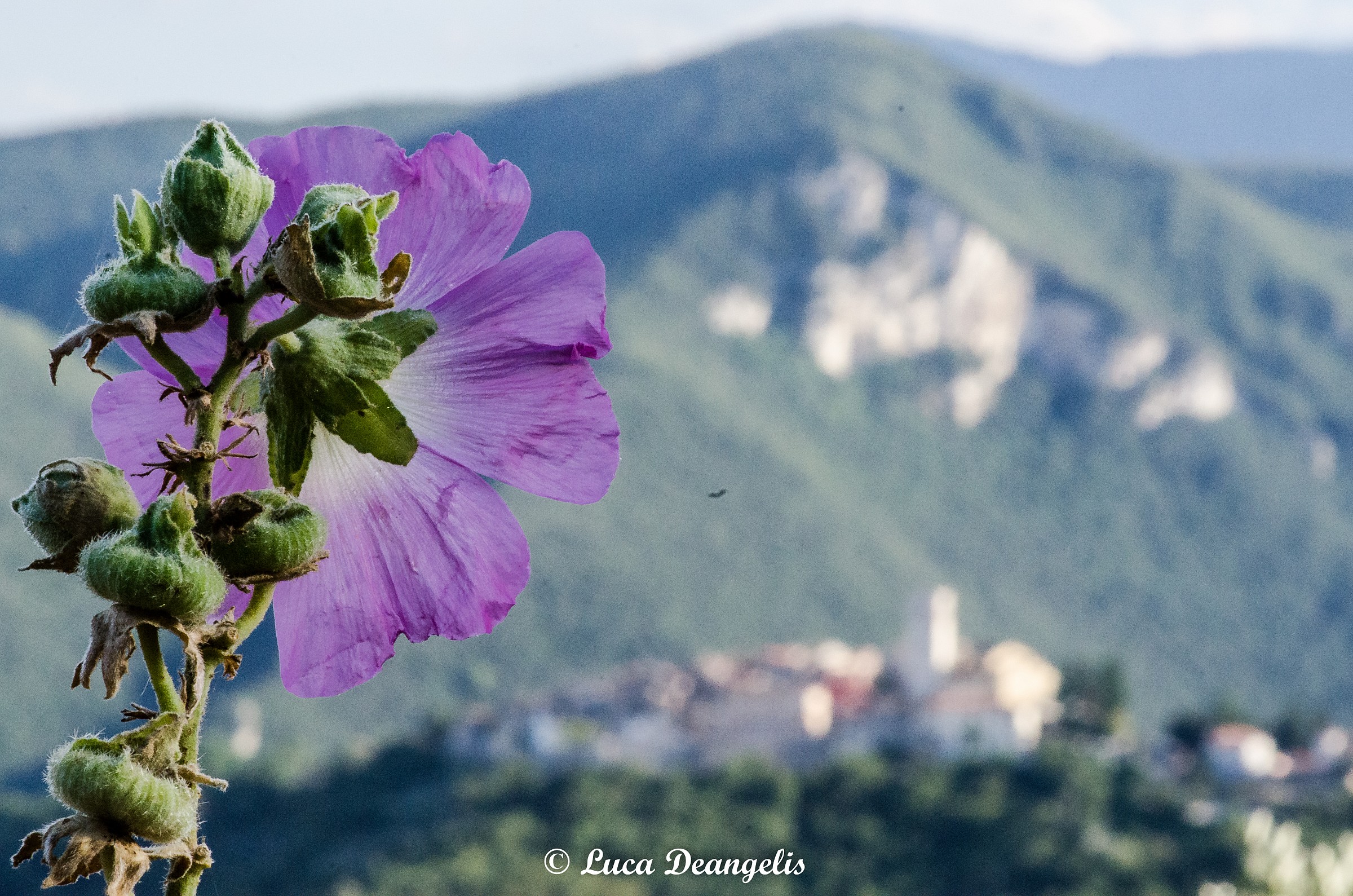 Ma che bel panorama!!!!!