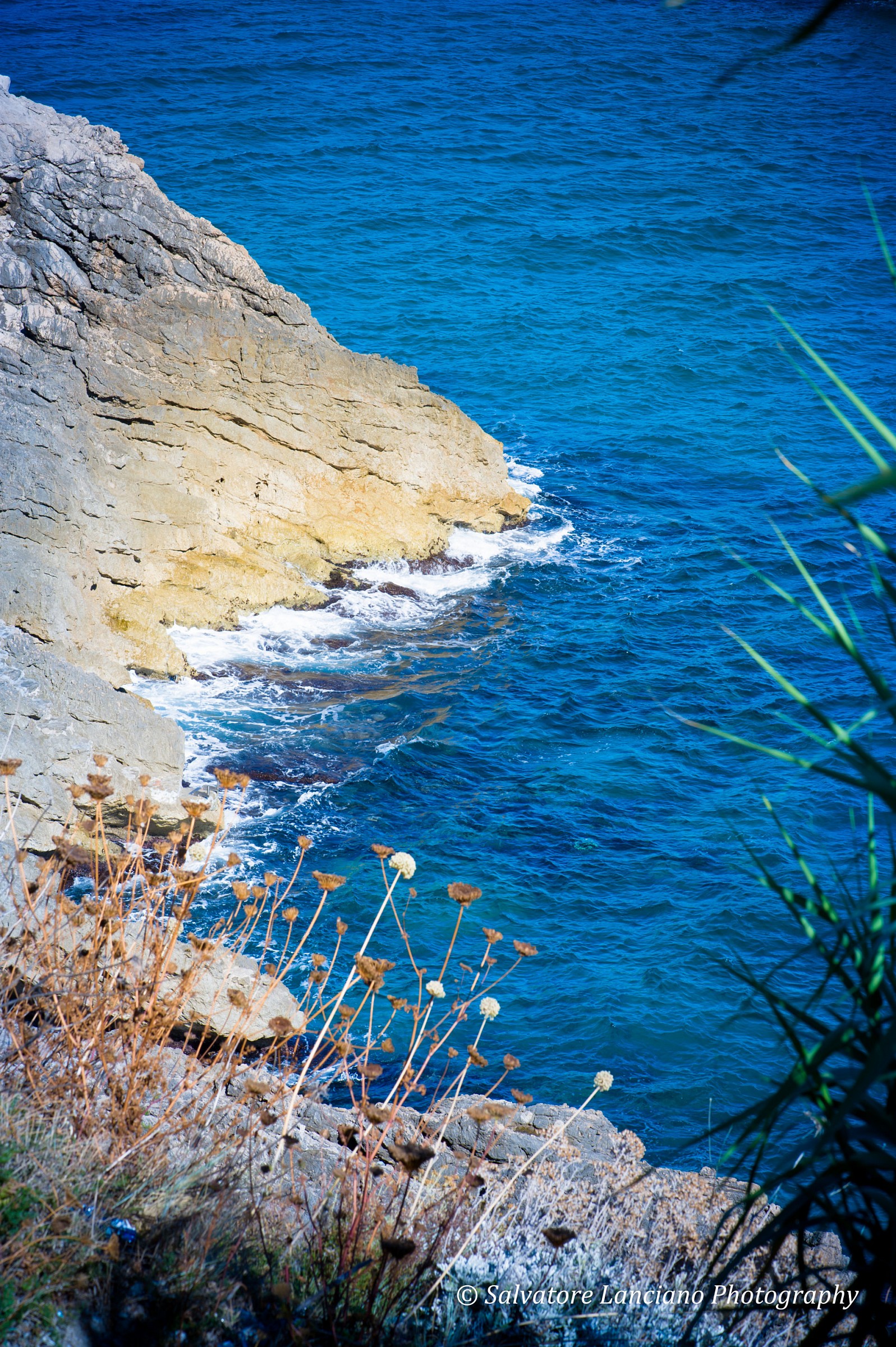 Scorcio di Monte Orlando - Gaeta(LT)