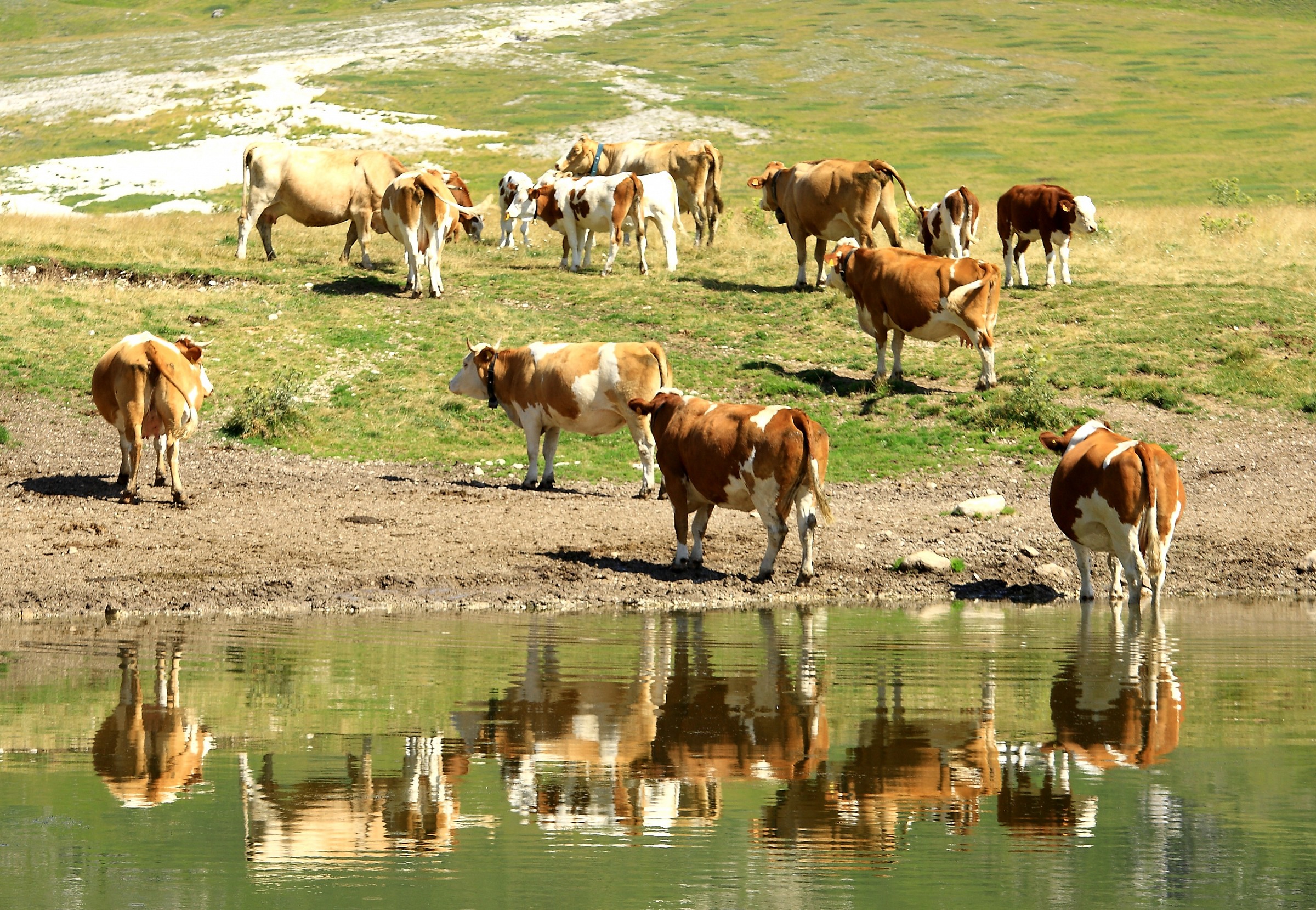 Omaggio a Giovanni Segantini.