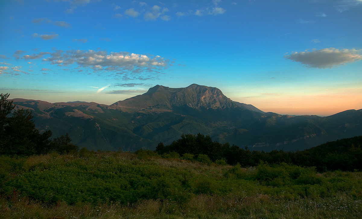 Mount Carrier by Spelonga