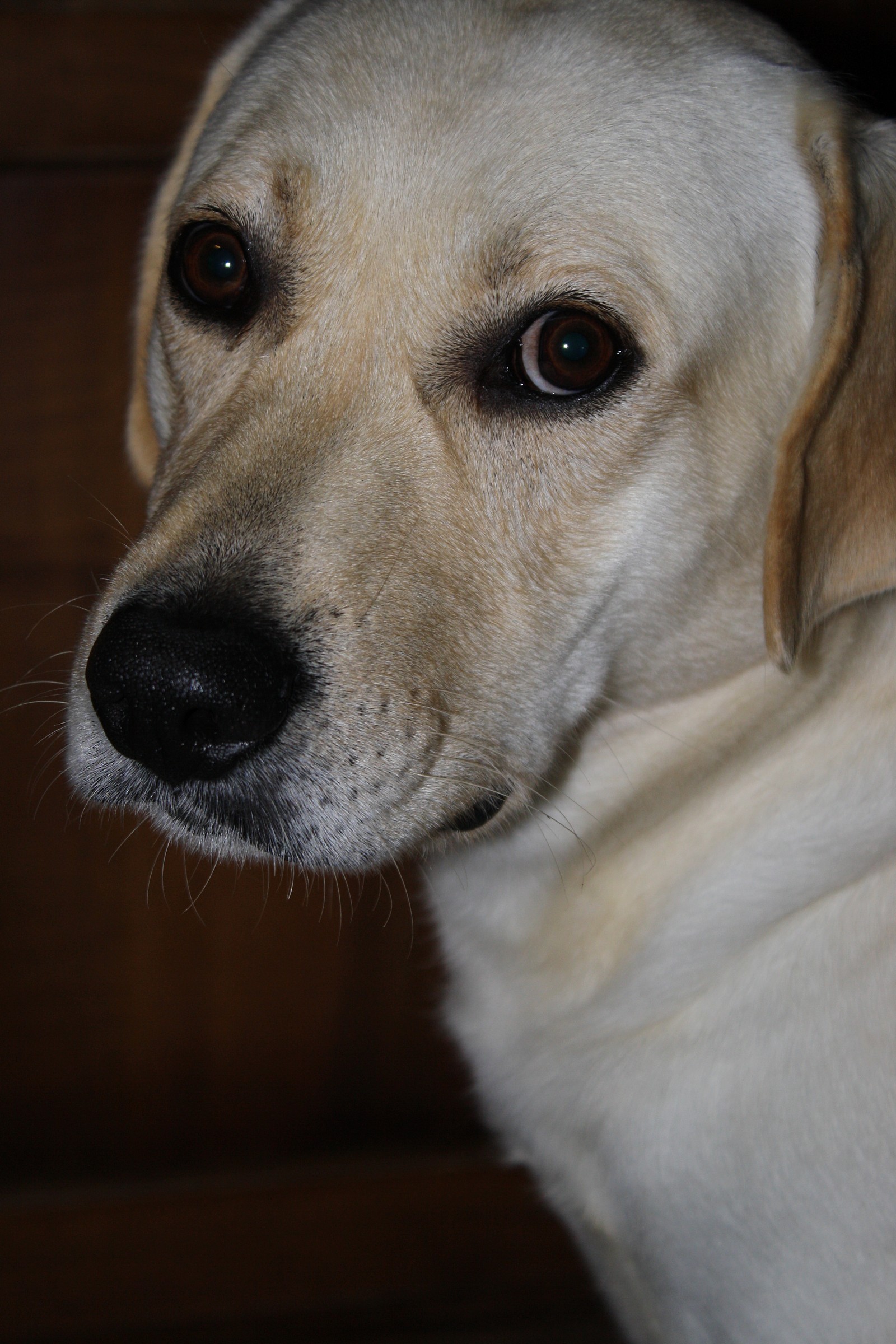 Sweetness exaggerated