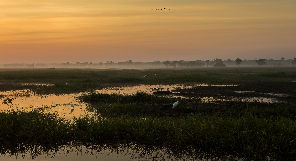 tramonto sulle yellow water