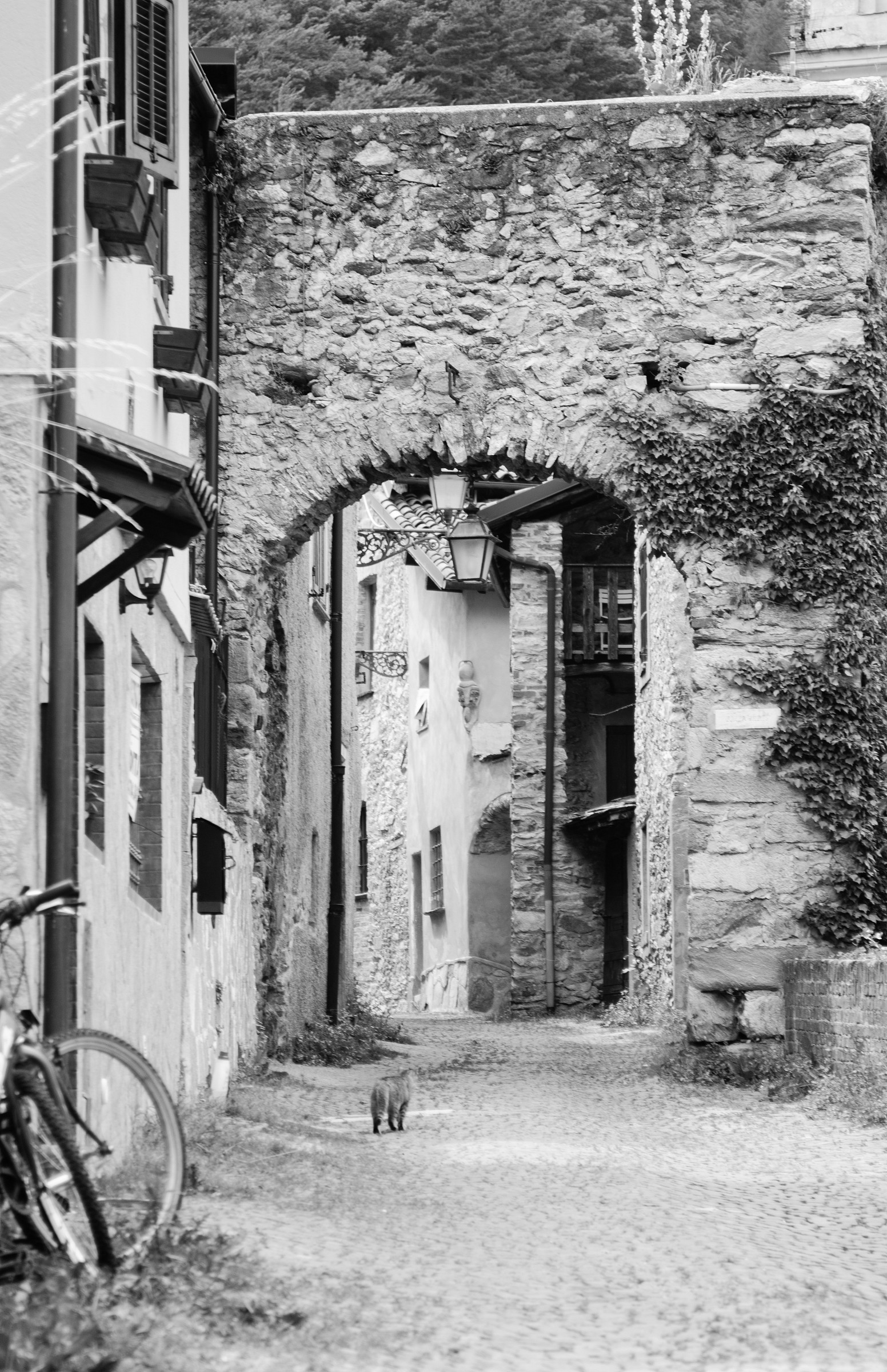 Garessio - Input Port