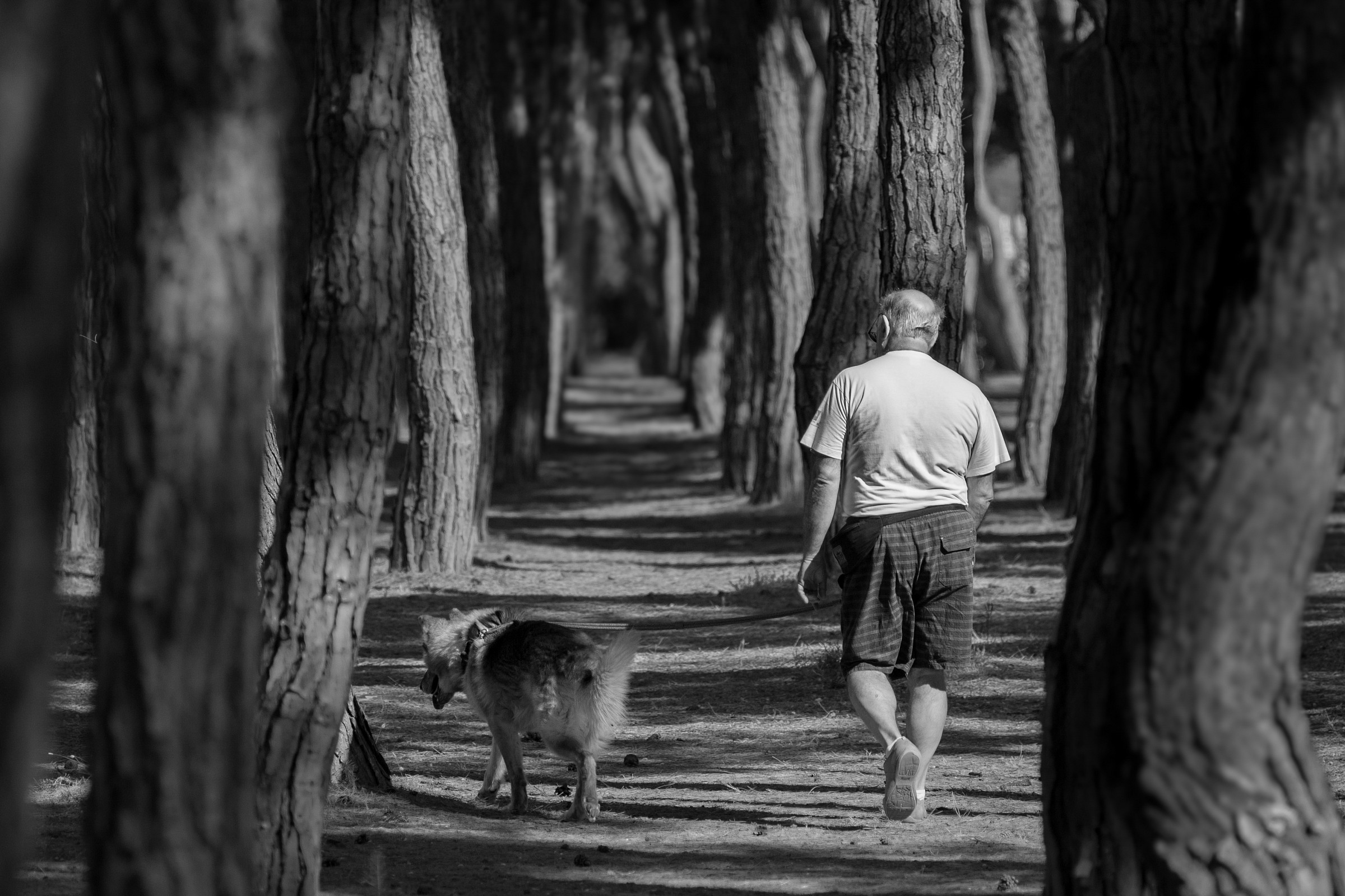 Compagni di avventura