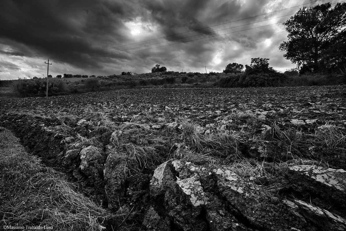 Plowed Field