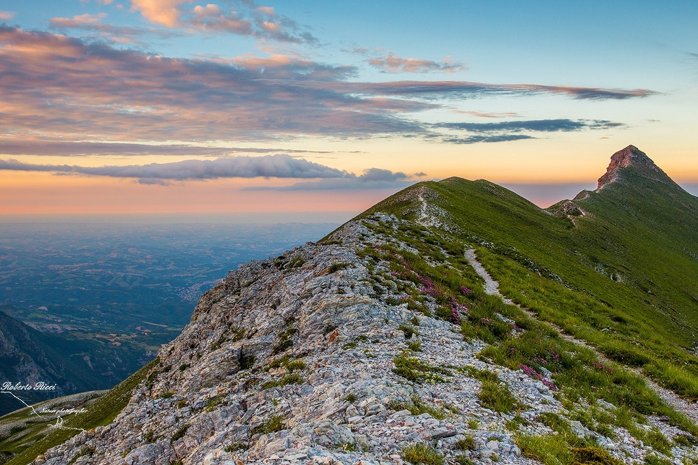 ridge for the summit
