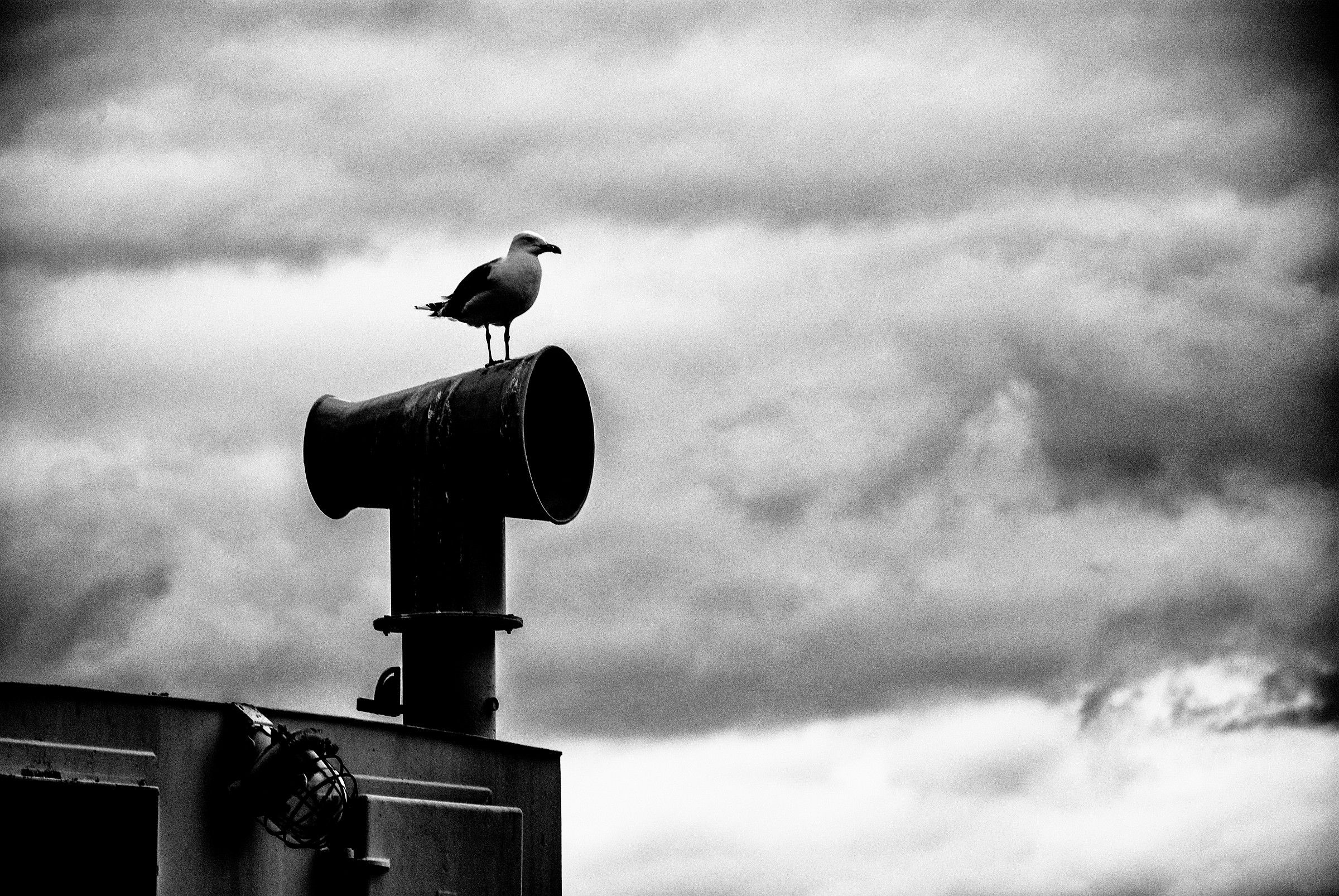 Il guardiano del faro
