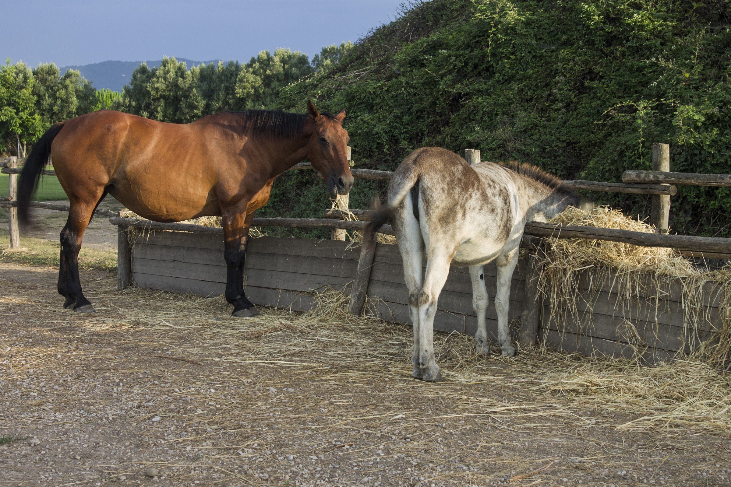 ...giusto un piccolo assaggino!
