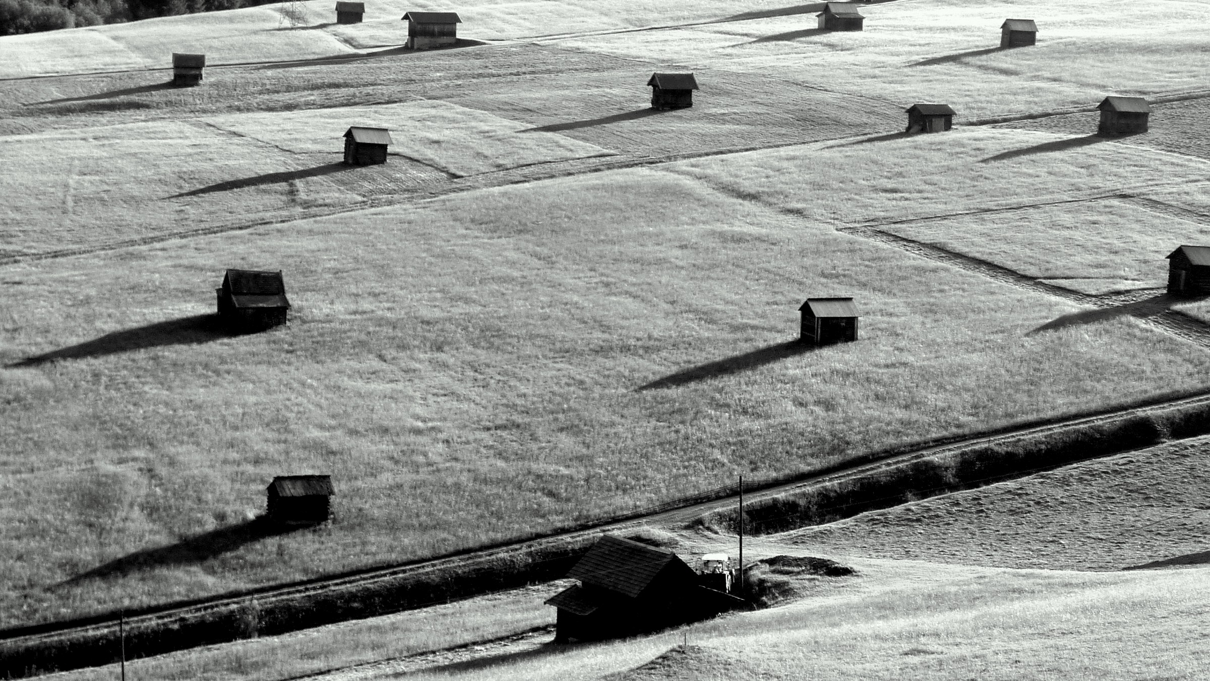Long shadows in the meadows