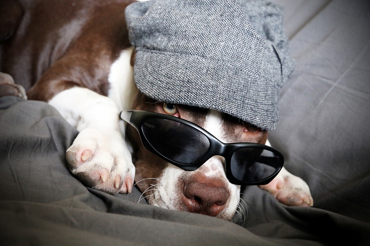 Papino, sono stanchina...