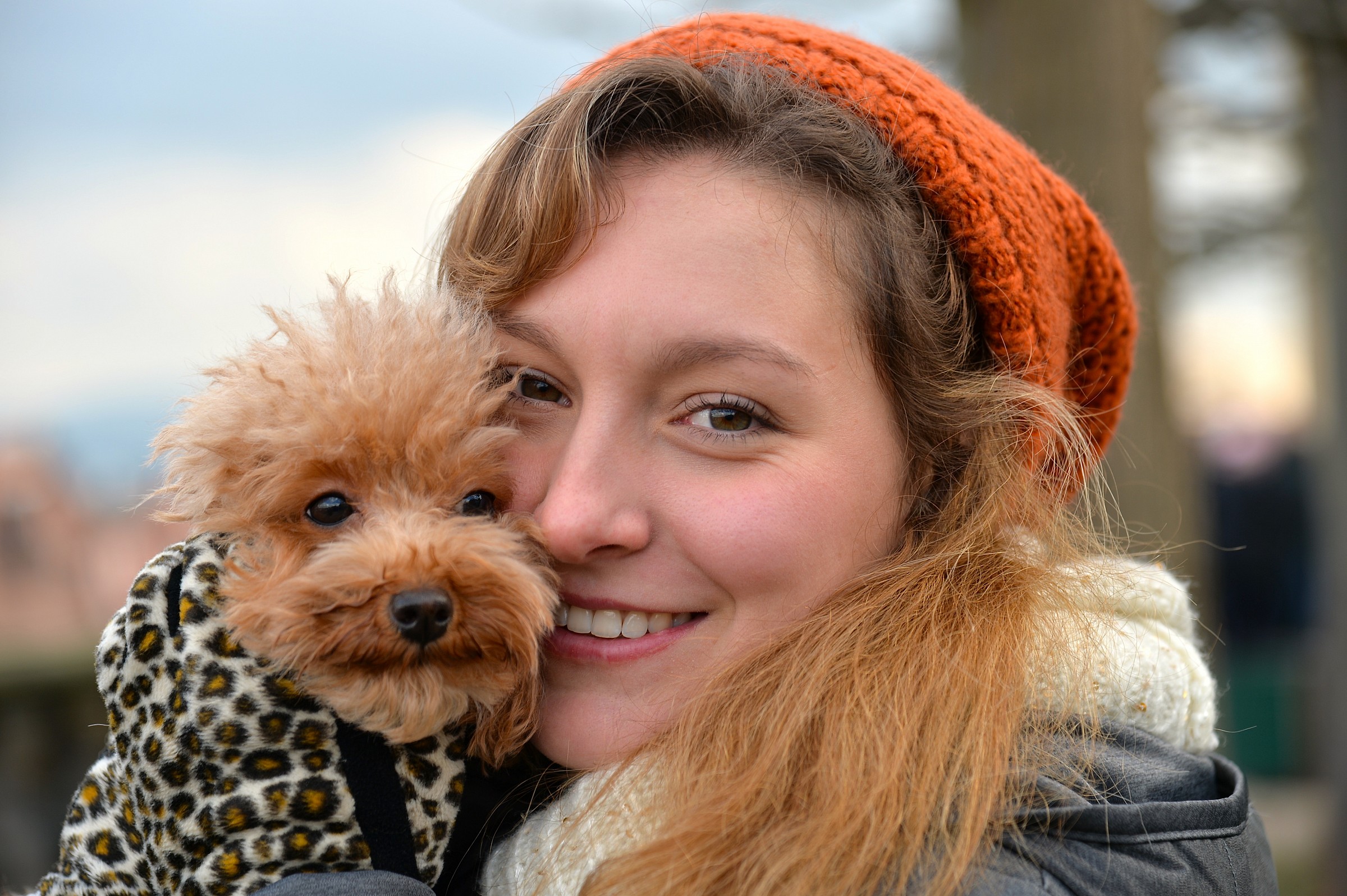 Susy al freddo di bamberga