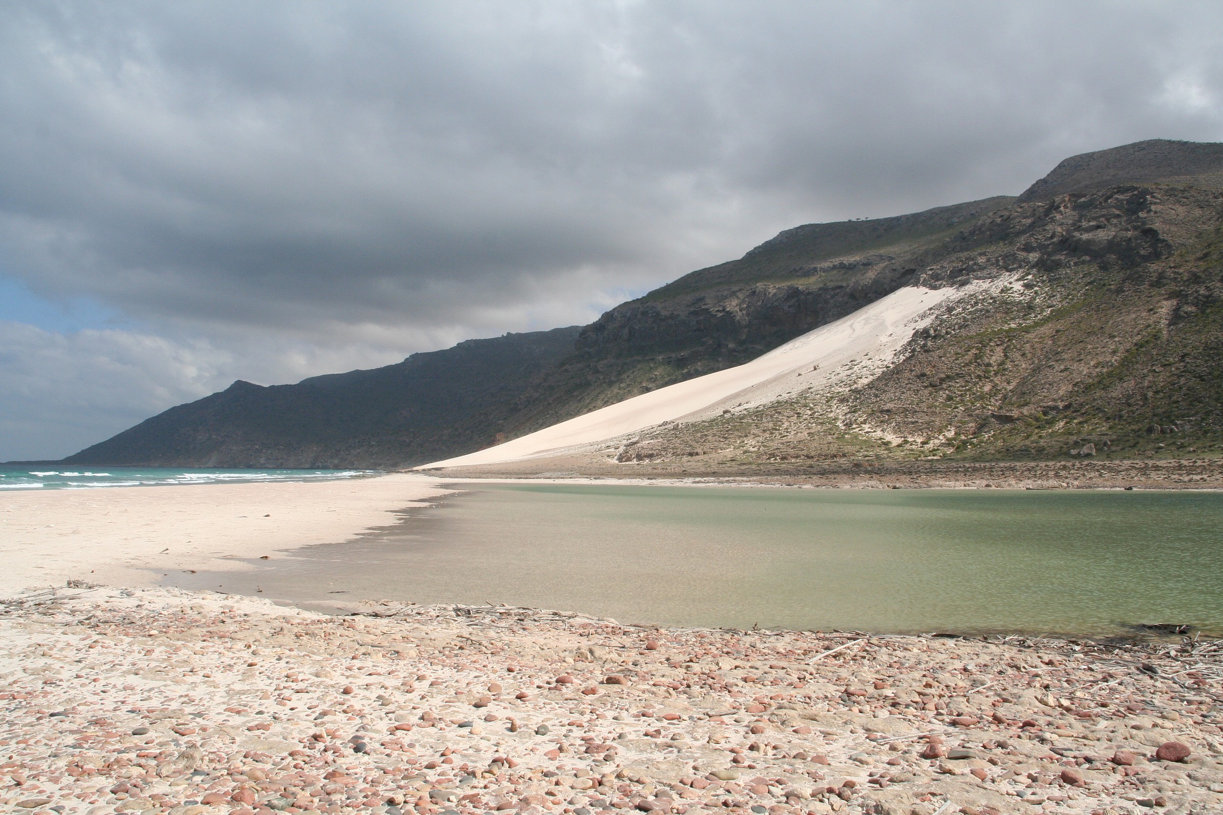 Isola di Socotra