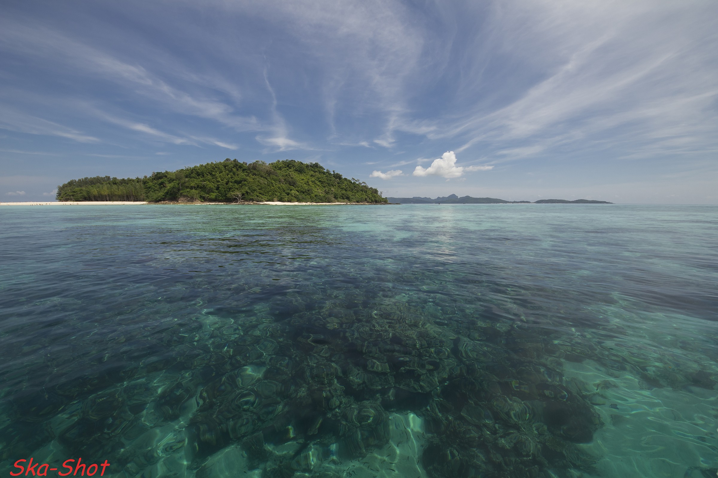 Welcome to Bamboo Island