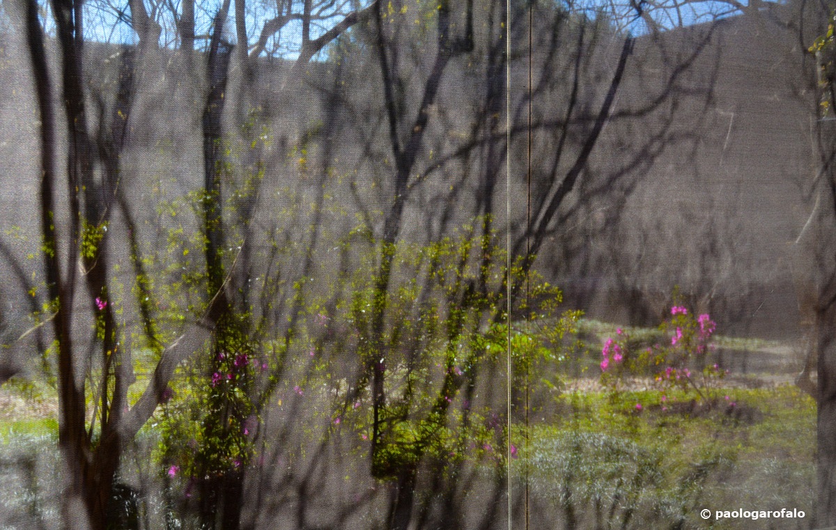 Splashes of color in transparency