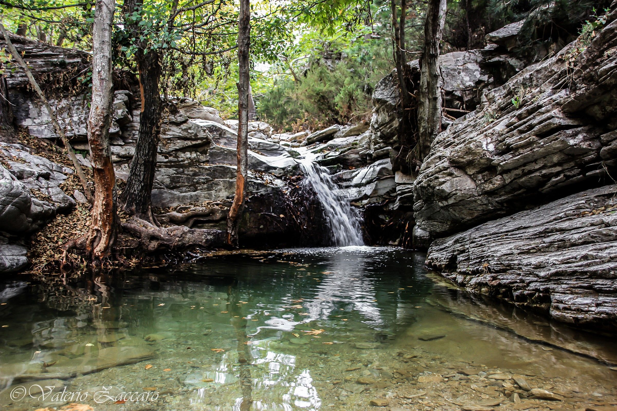 Thassos - Grecia 2014