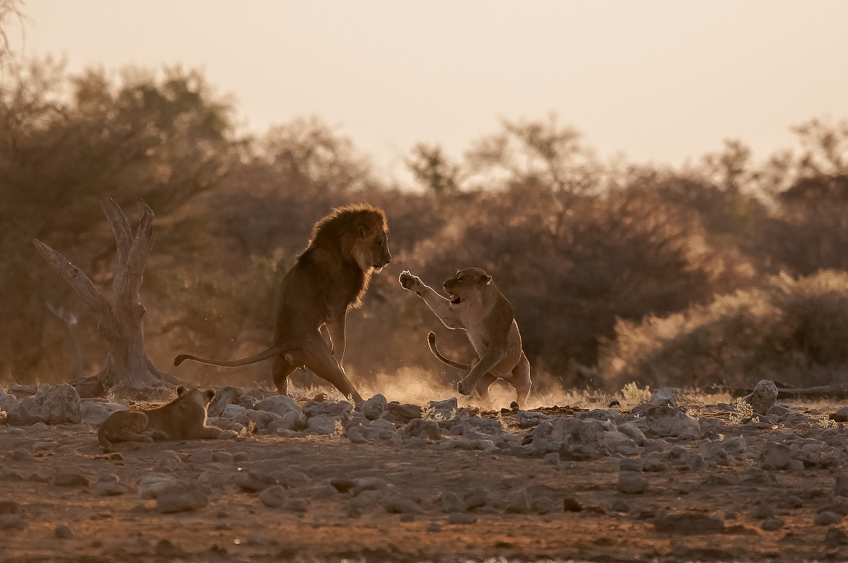 Discussione in famiglia
