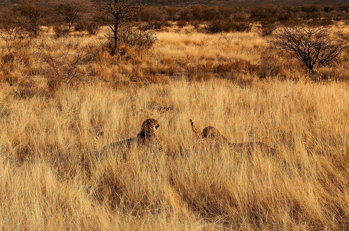 Discussione fra amiche