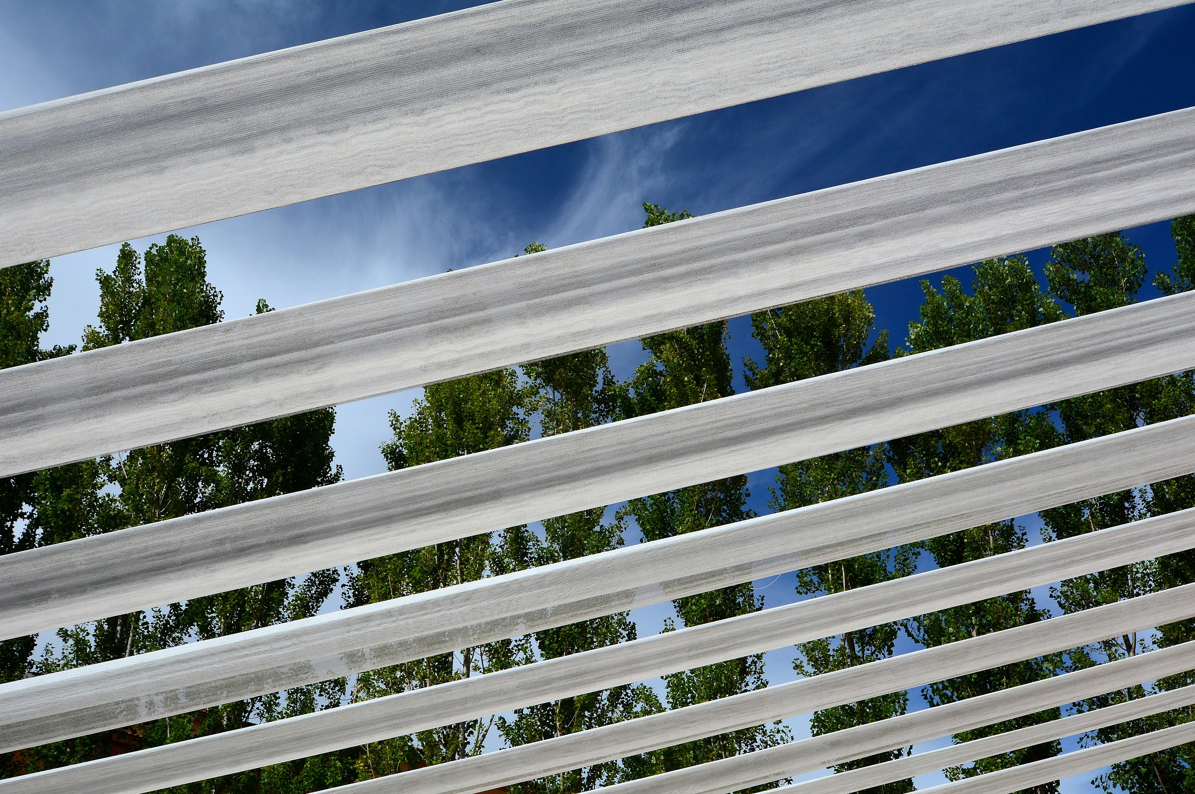 towels and trees, Maxxi Rome