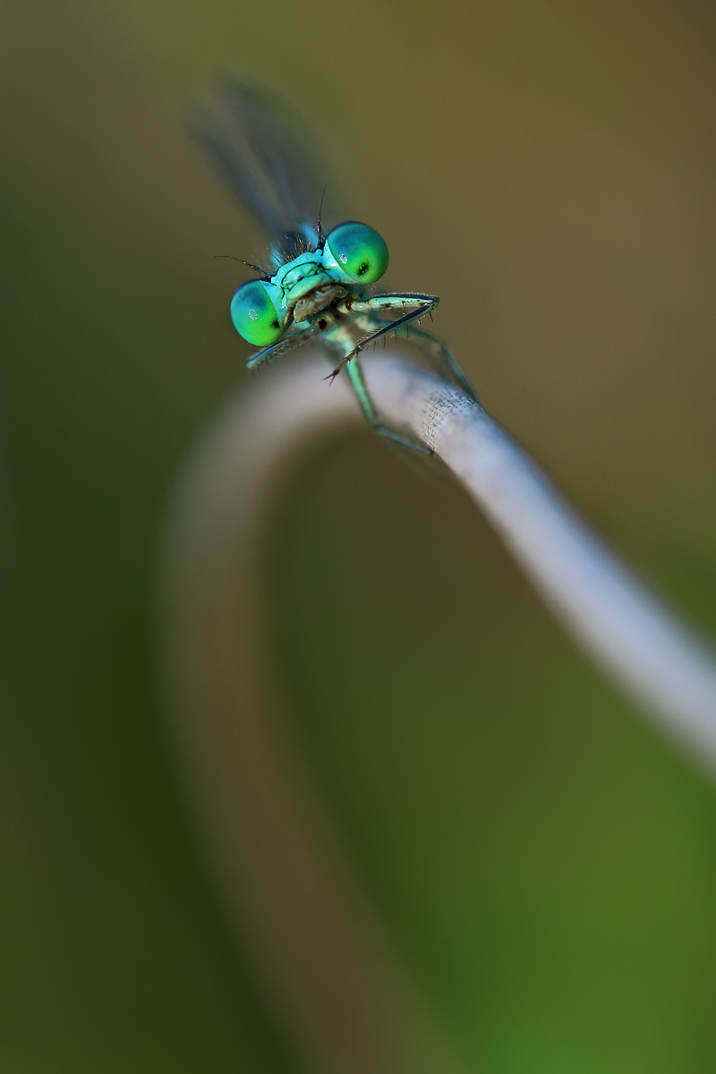Quando mi guardi così...