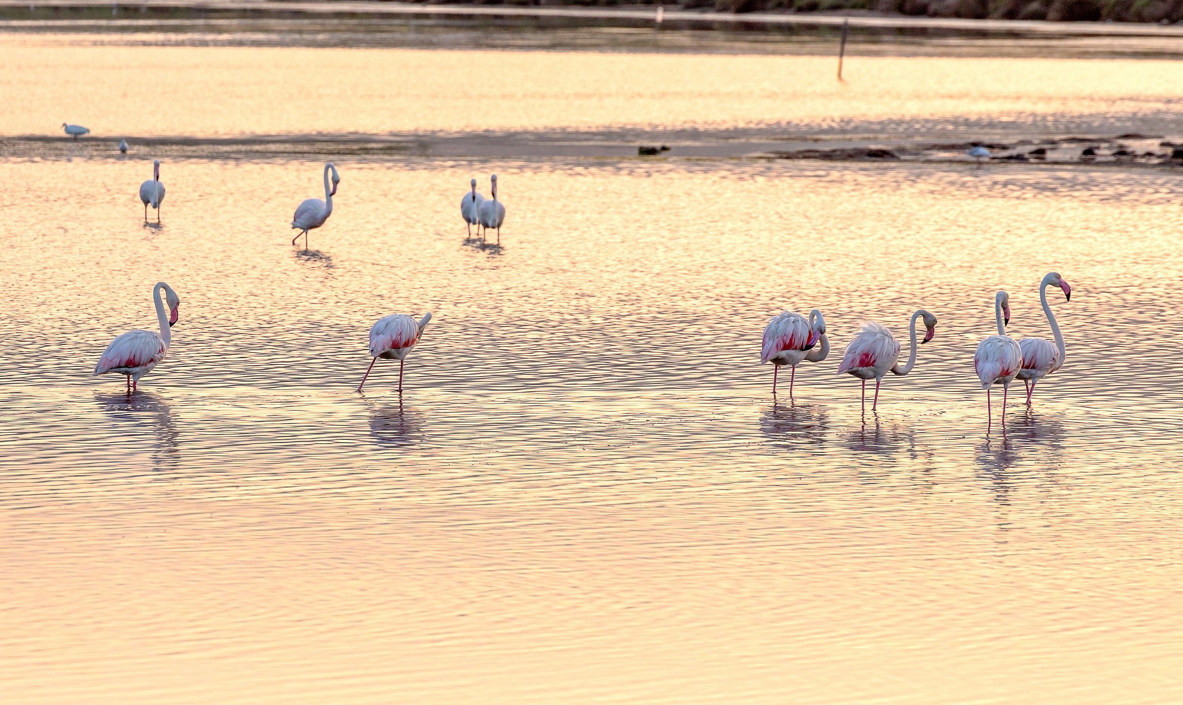 Pulizie dopo colazione