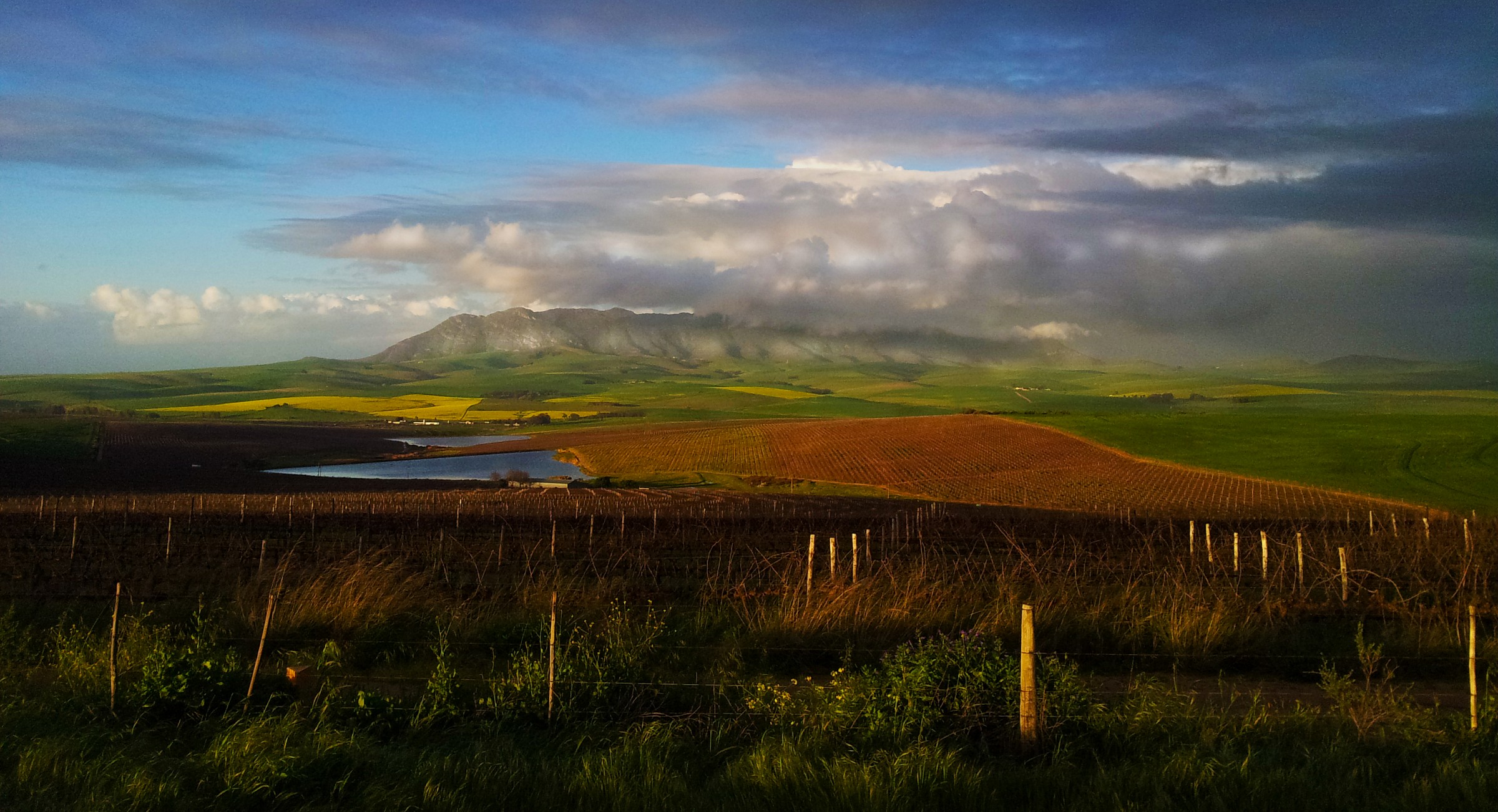 South African Landscape