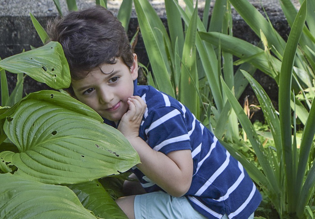 Mio nipote gioca a nascondino