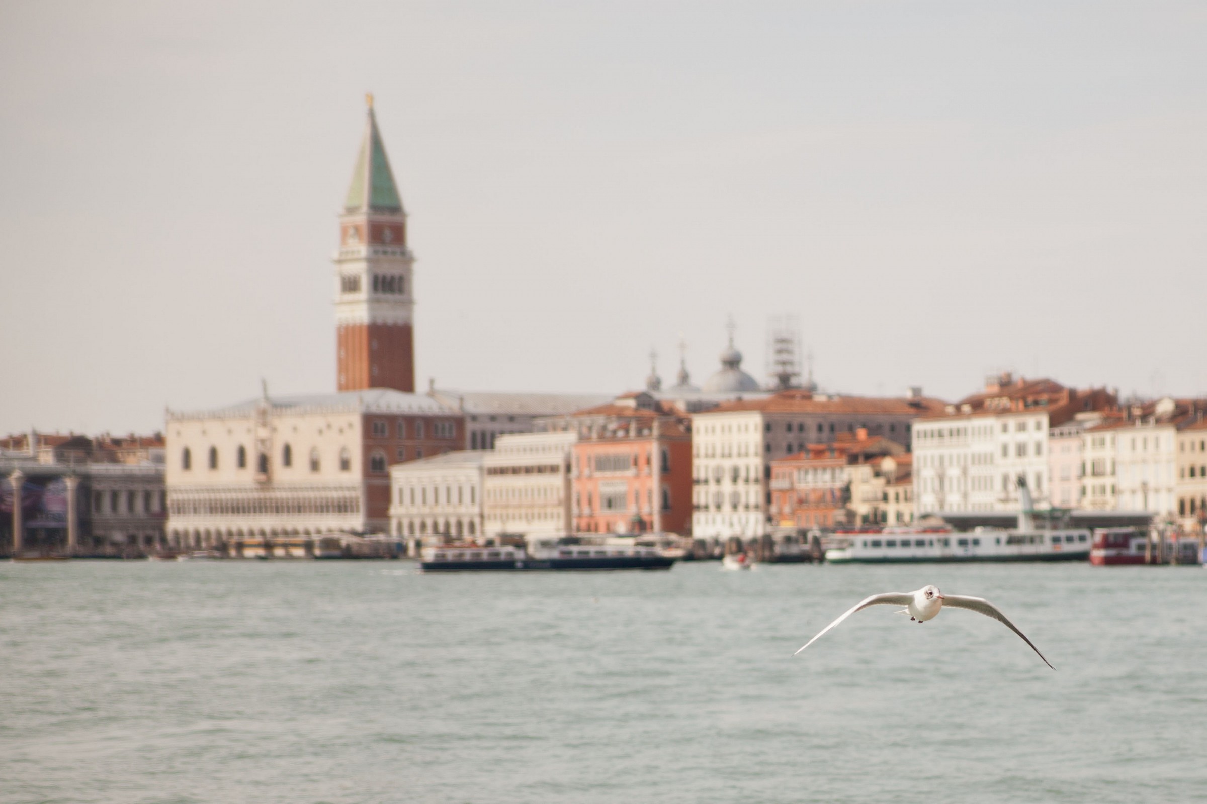 Fly over Venice