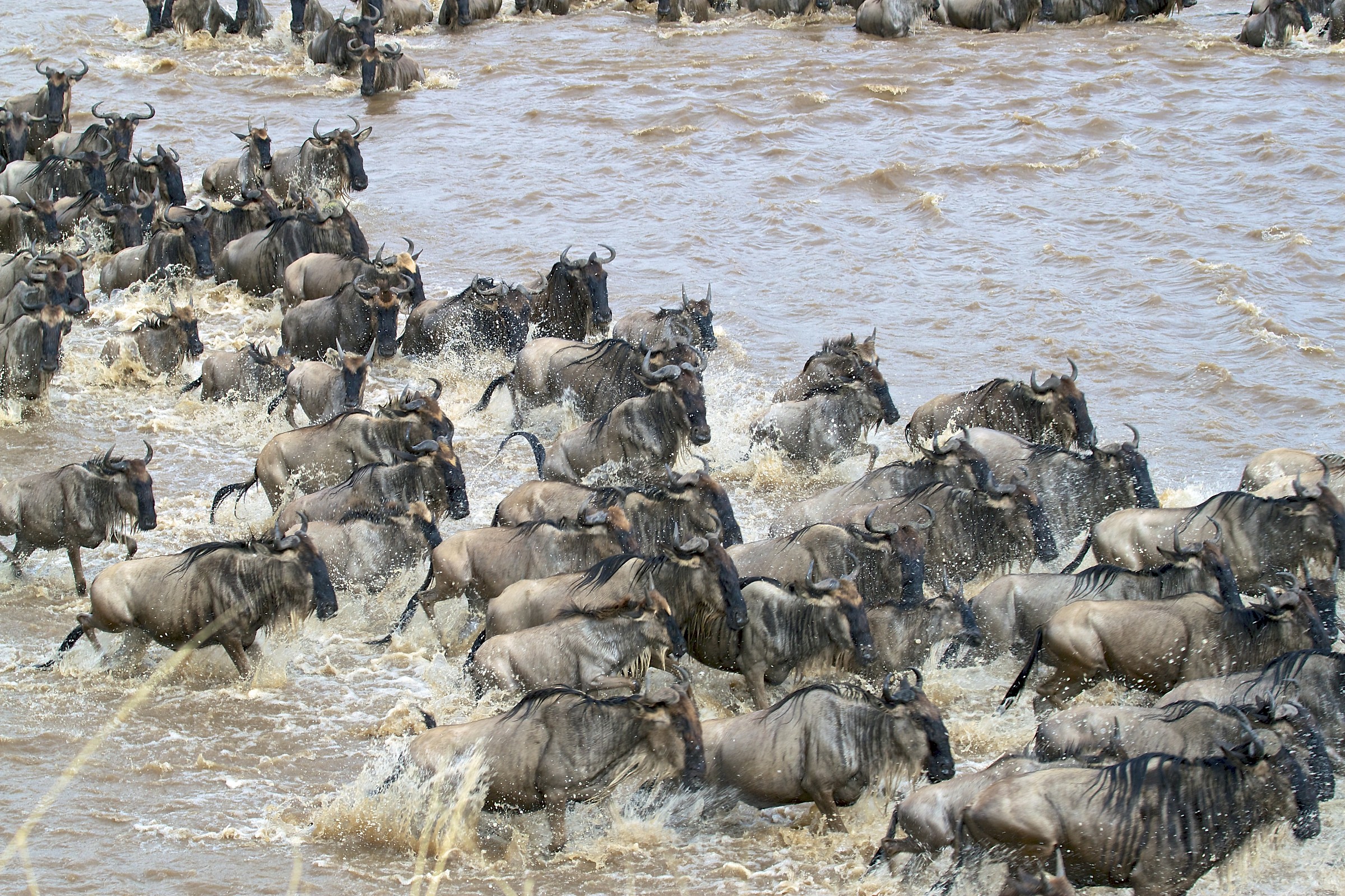Schizzi d'acqua nel Mara