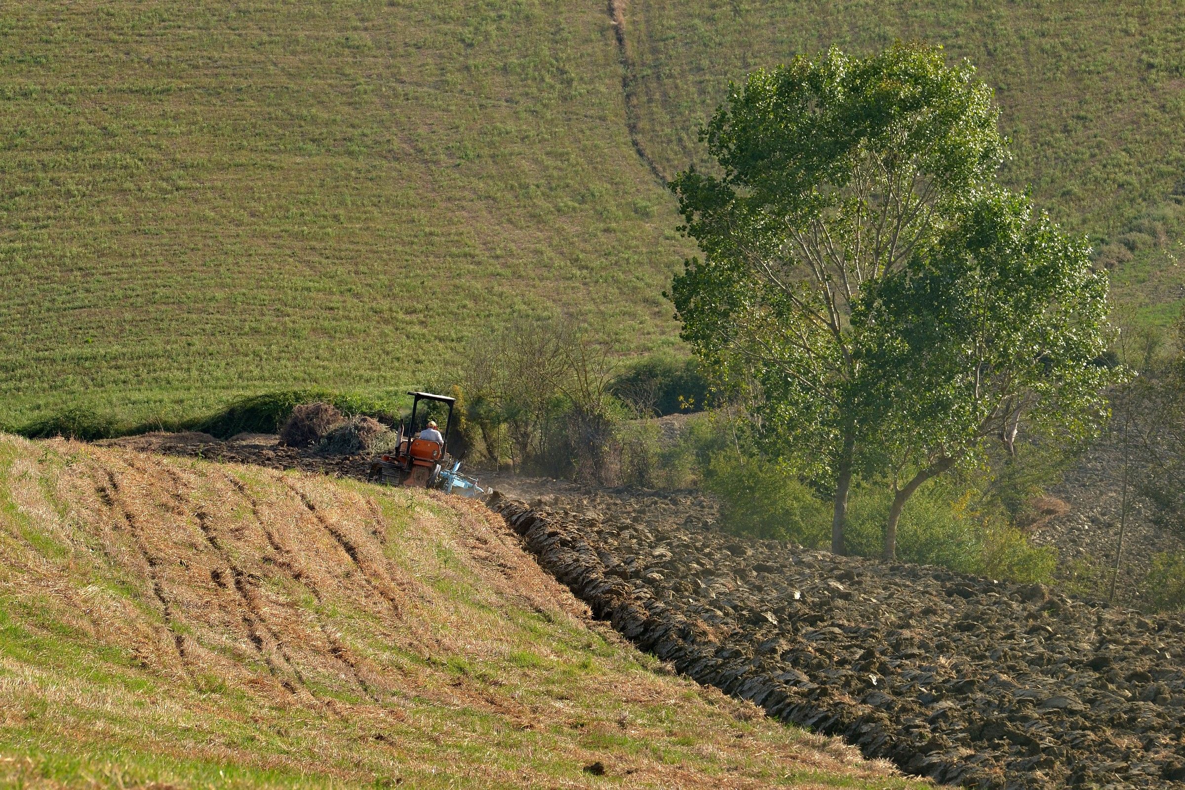 Aratura a Piancastagnaio