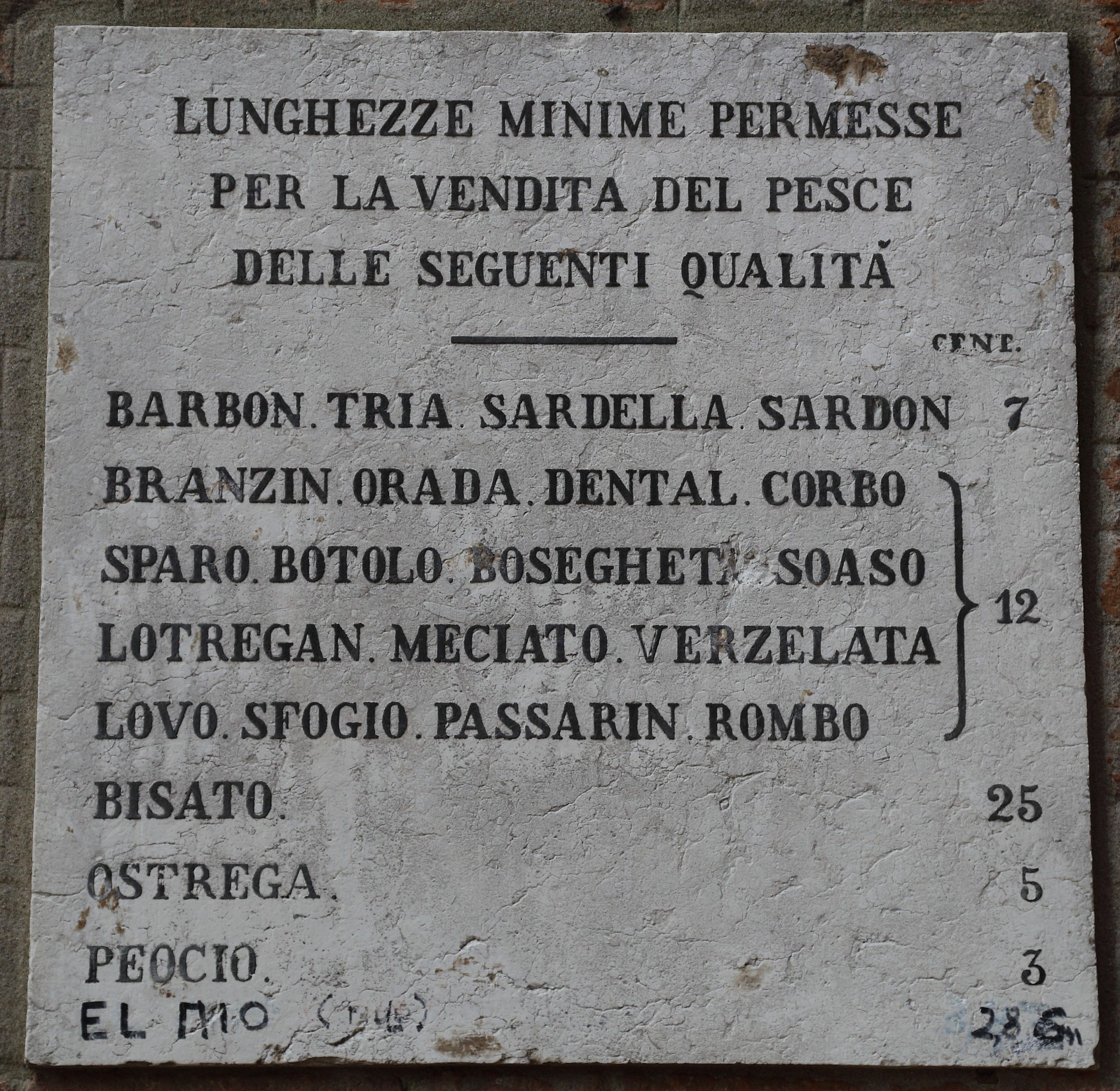 Anonimo superdotato (el mio ...28 cm)