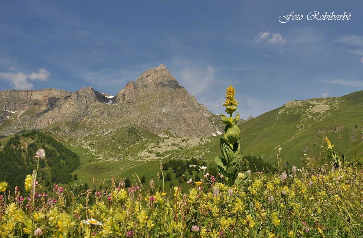 Vista panoramica....