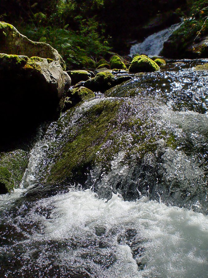 Mountain stream