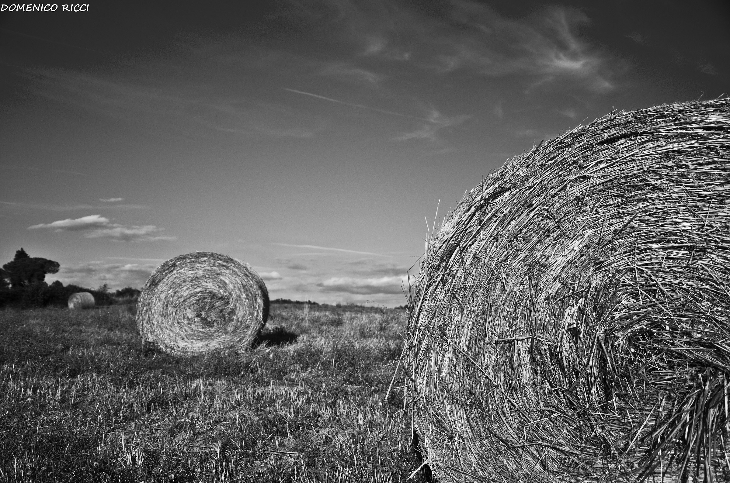 Rolling Bales