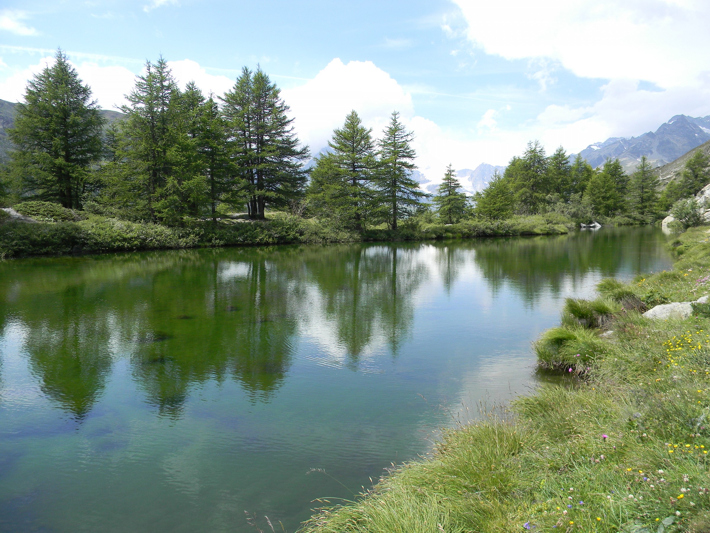 Alpine lake (Grindjisee)