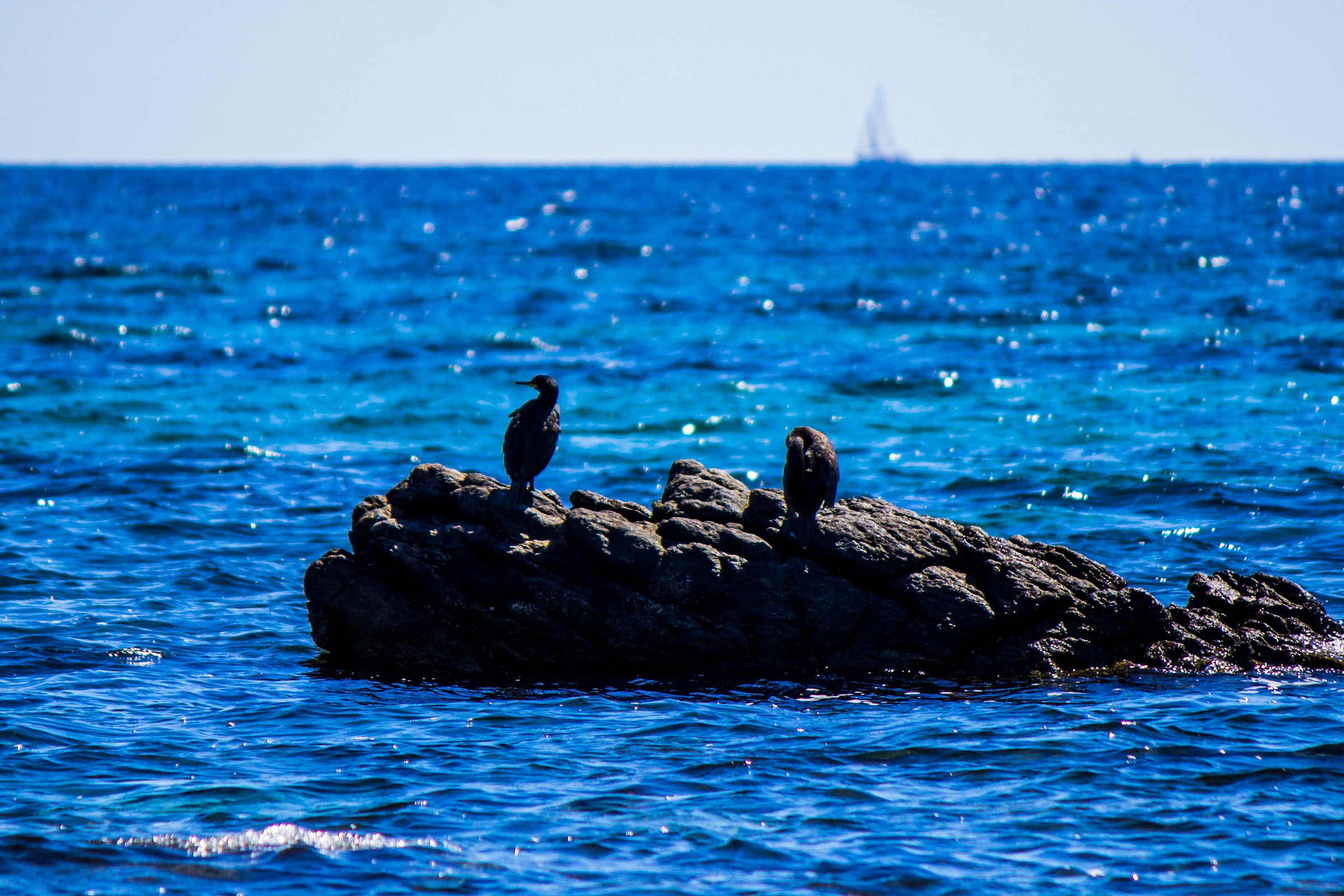 Rest between a meal and the other