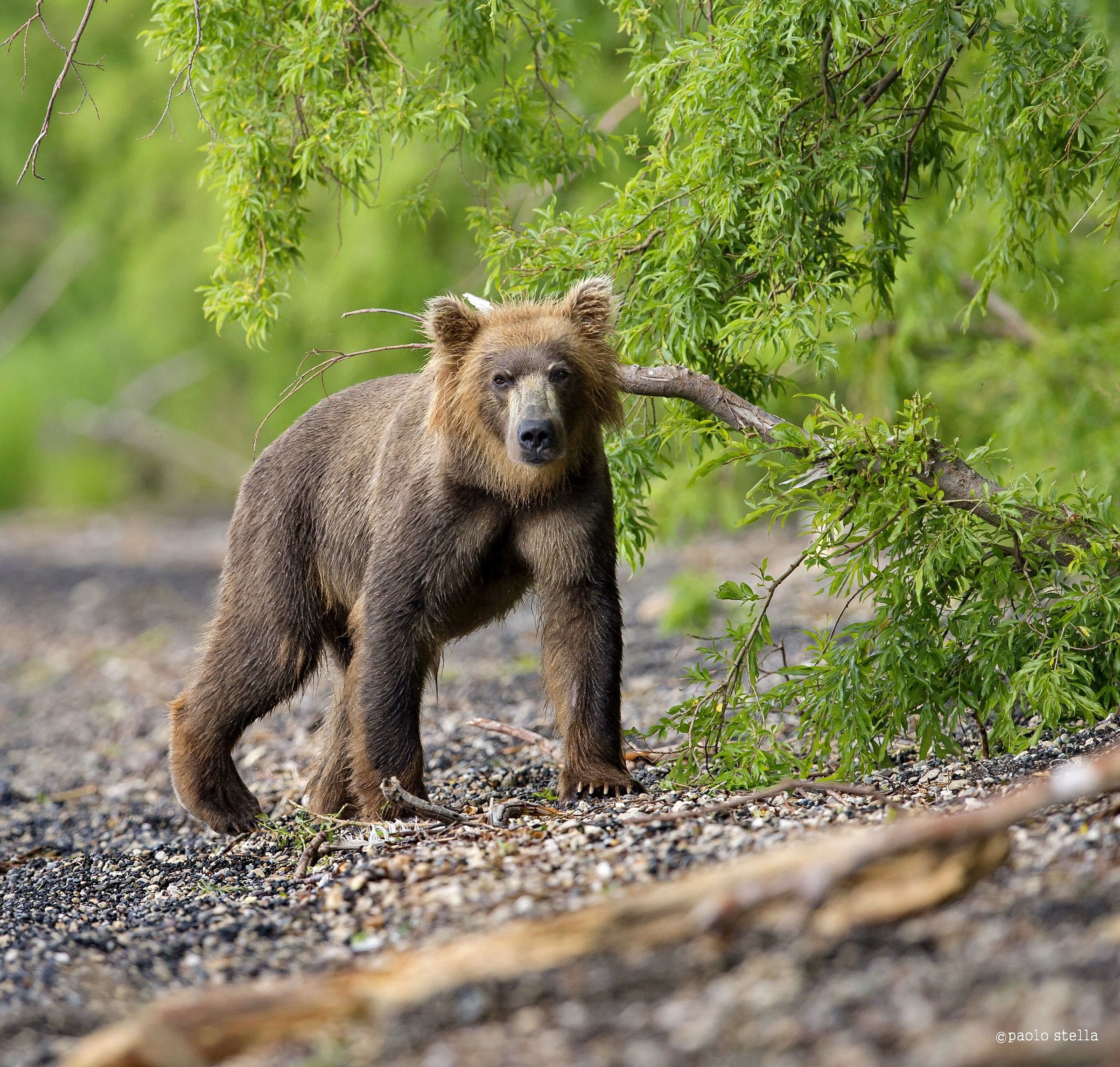 meeting on the beach