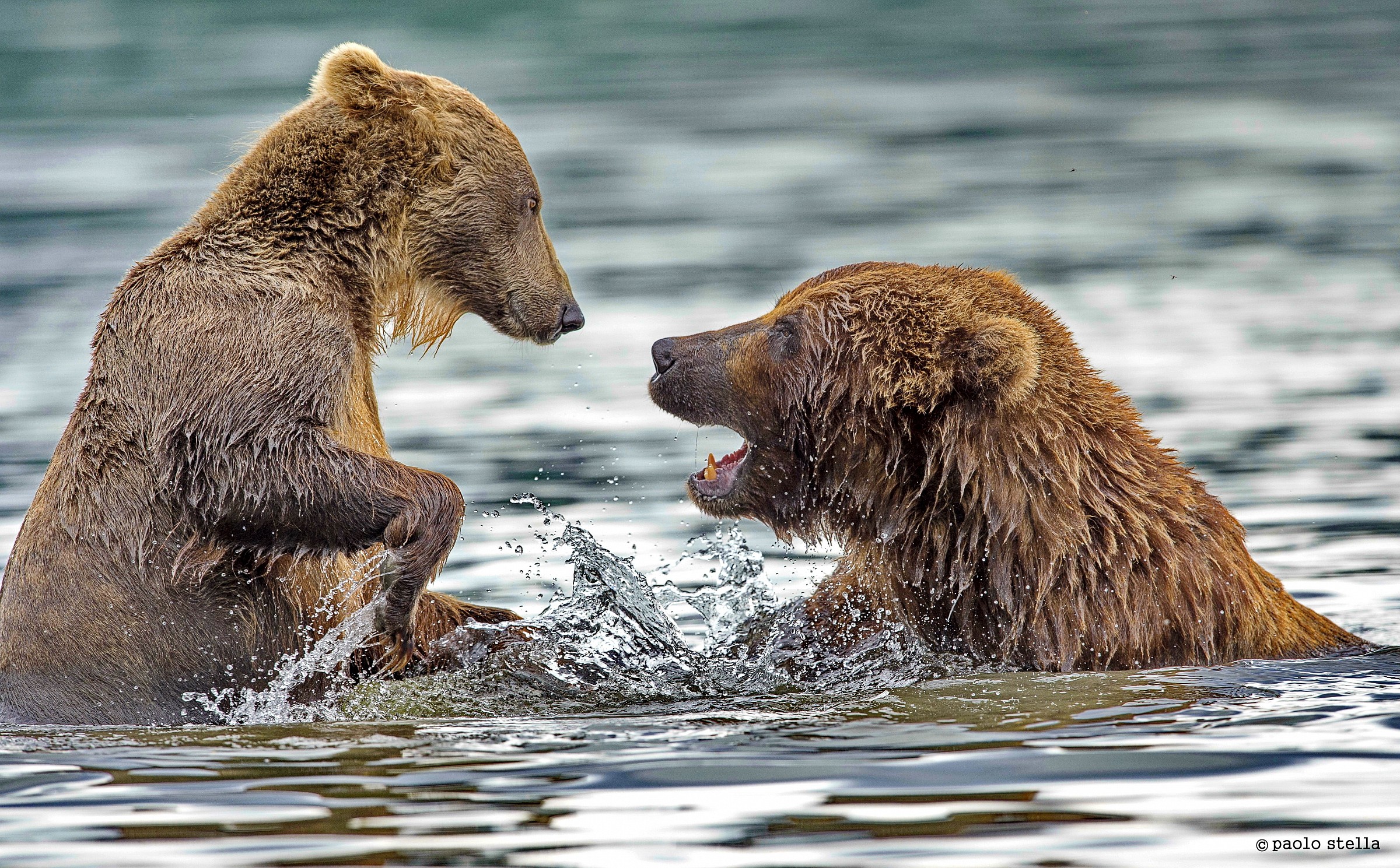 play with me baby ...