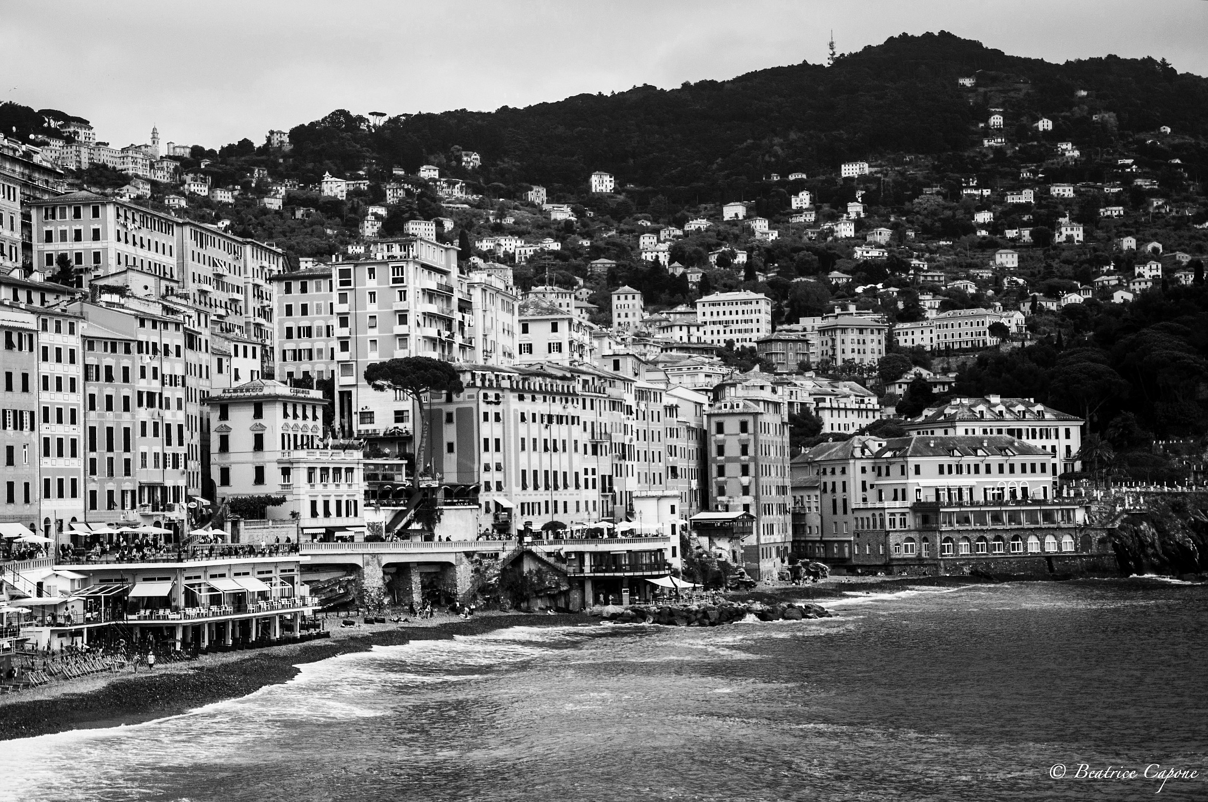 Camogli - genova