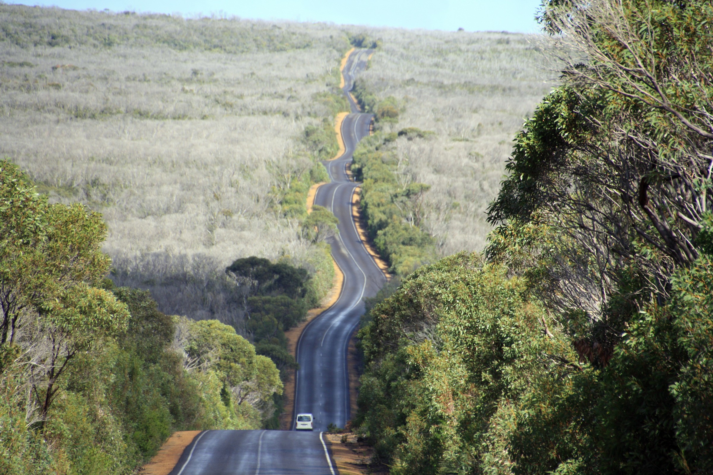 Kangaroo Isalnd - on the road