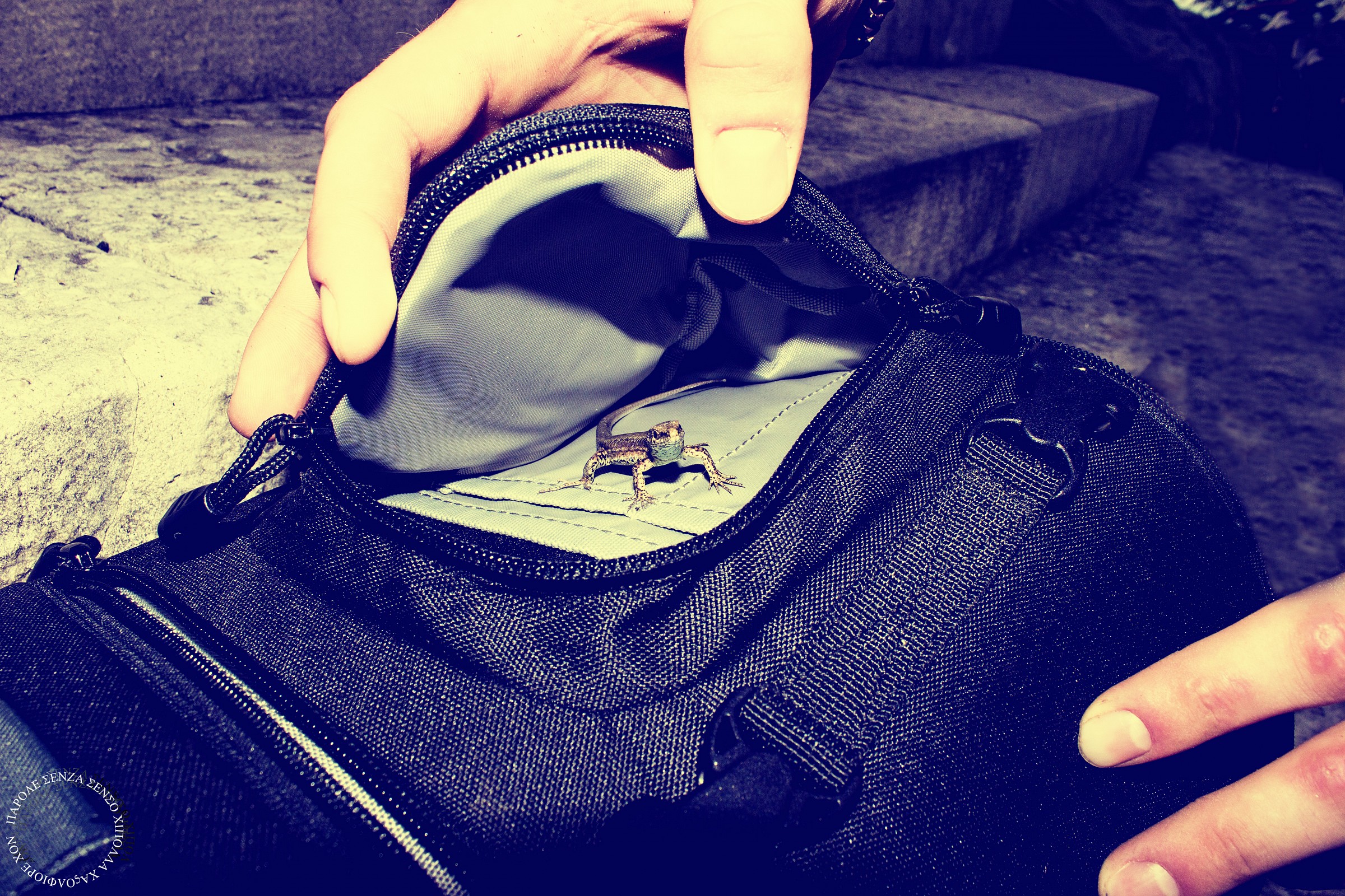 Un piccolo amico mio