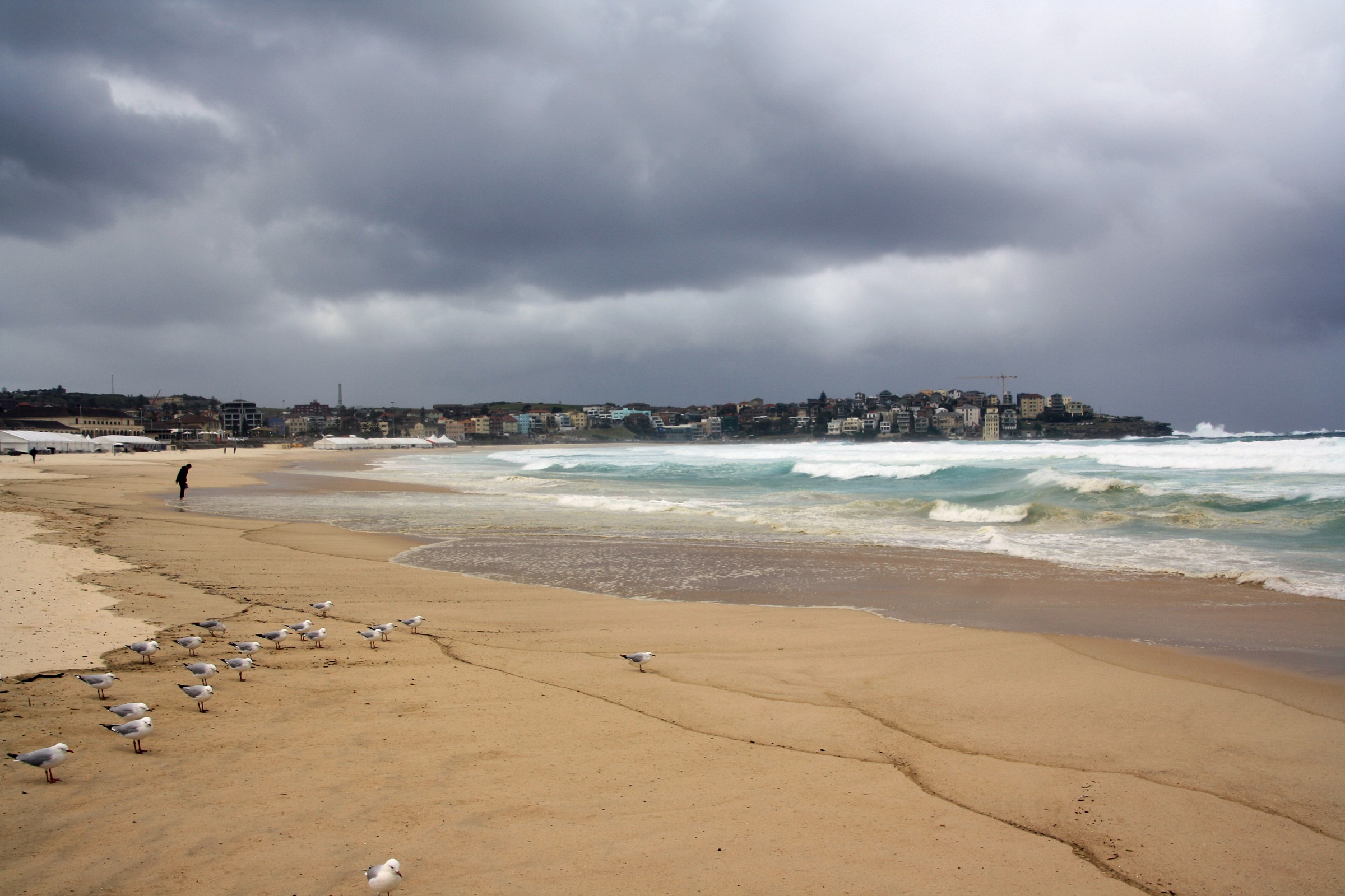 Sydeny - bondi beach