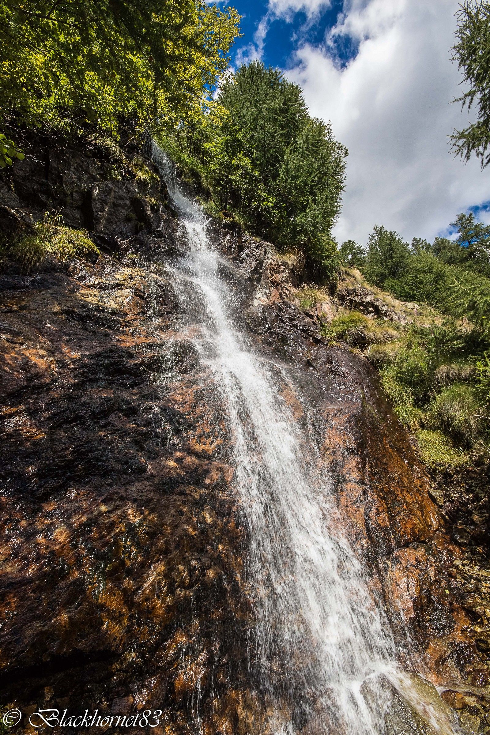 Refreshing and thirst-quenching!
