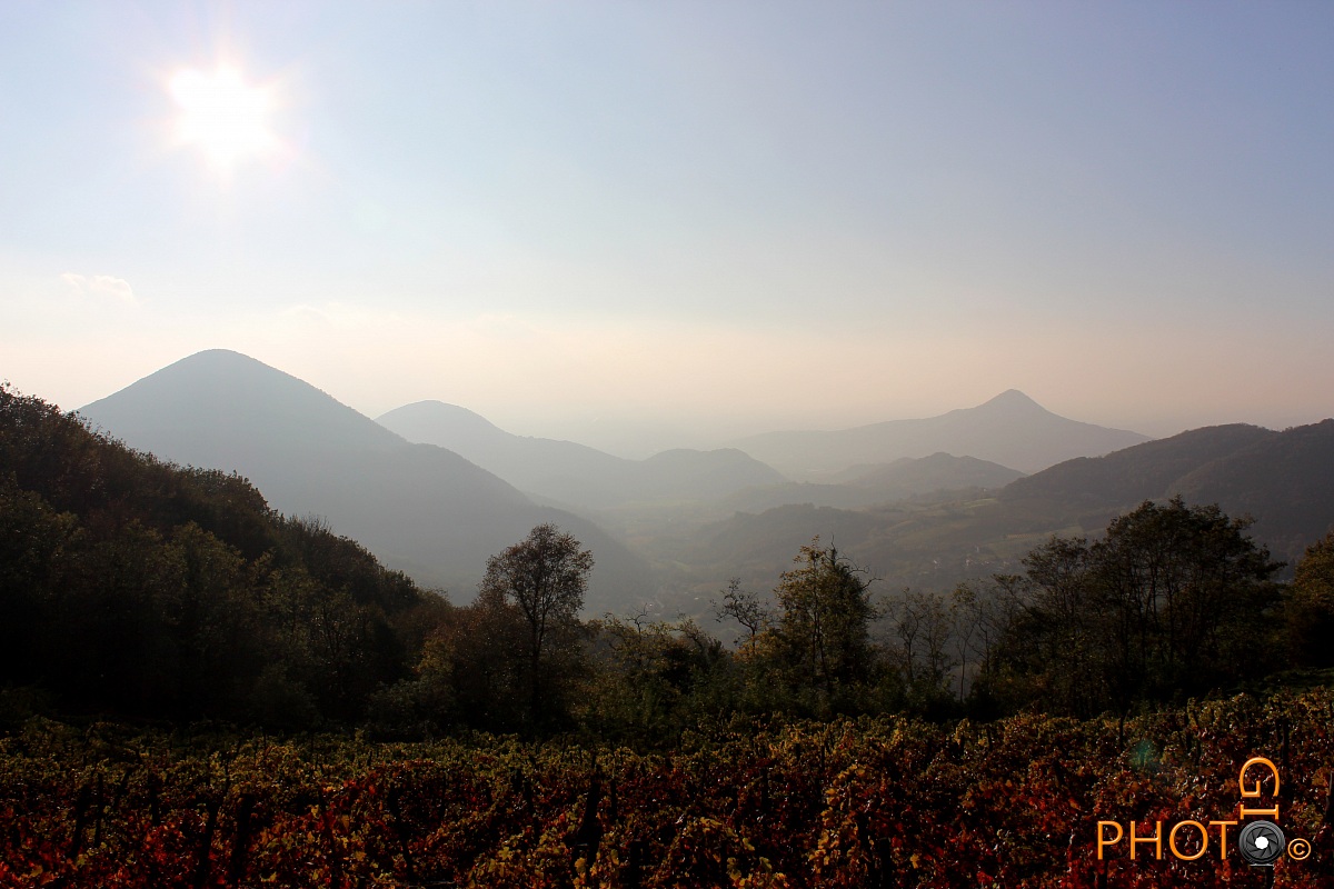 Euganean Hills in the mist