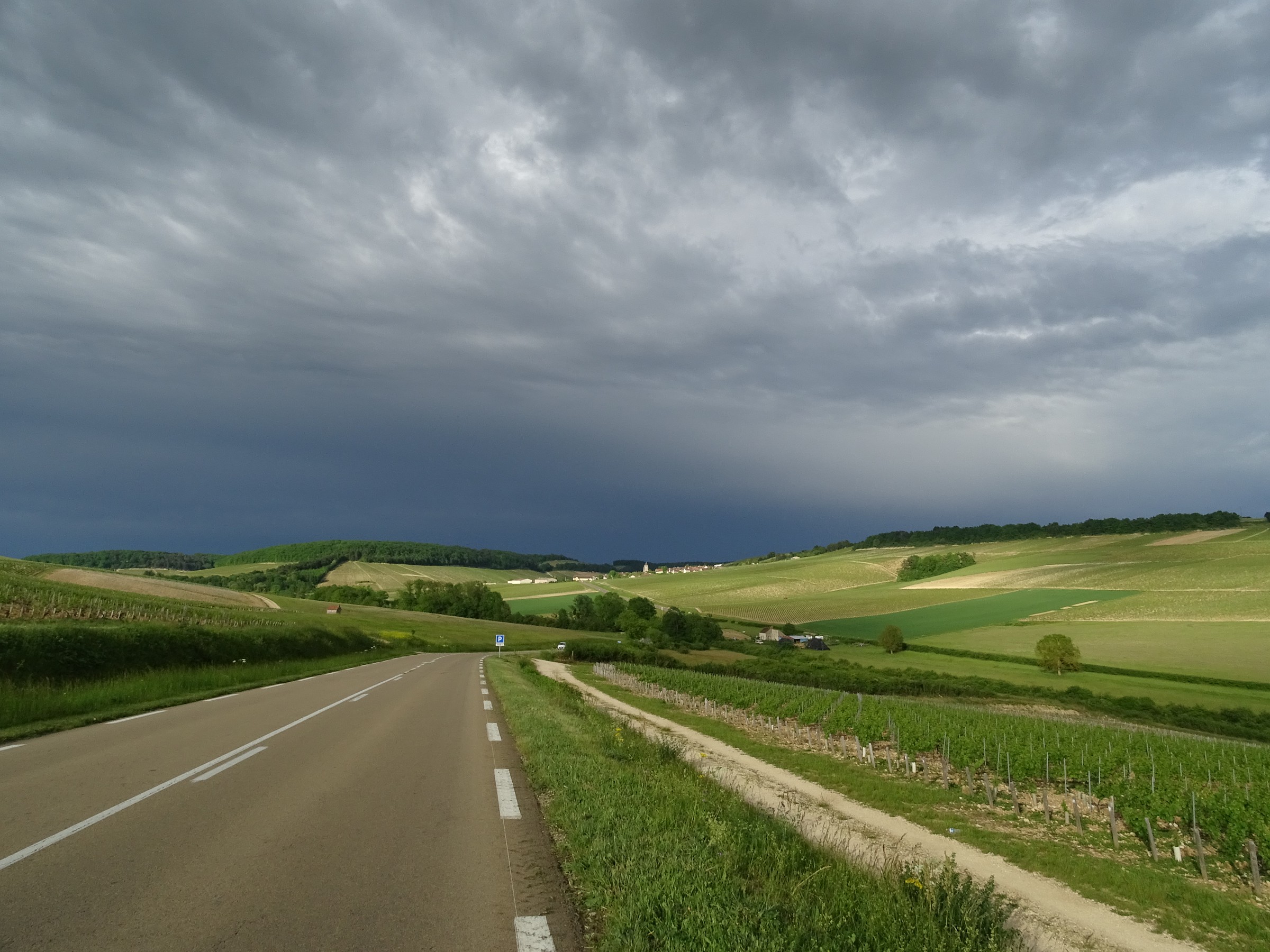 The area of ??the vineyards of Chablis