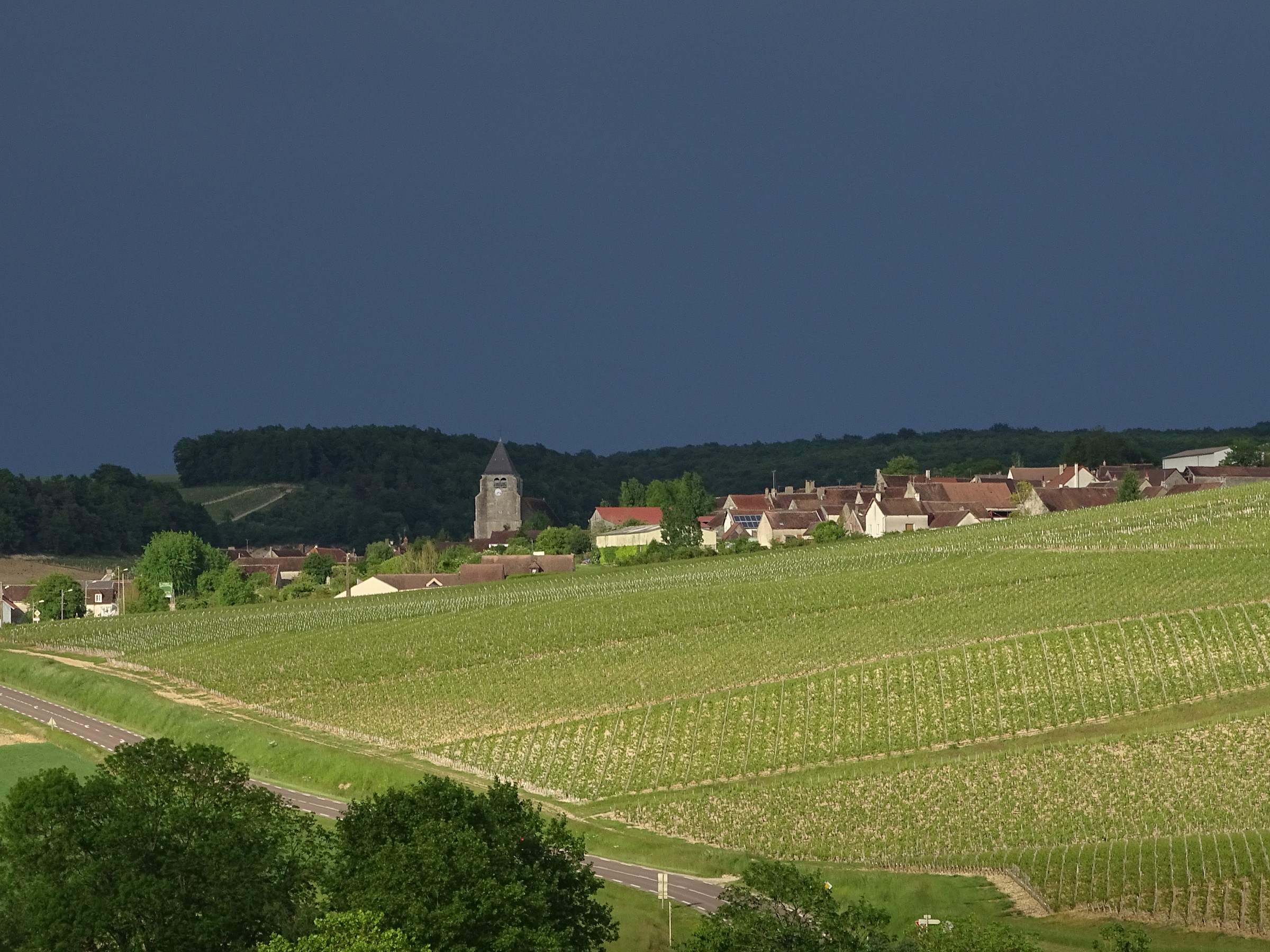 Chablis