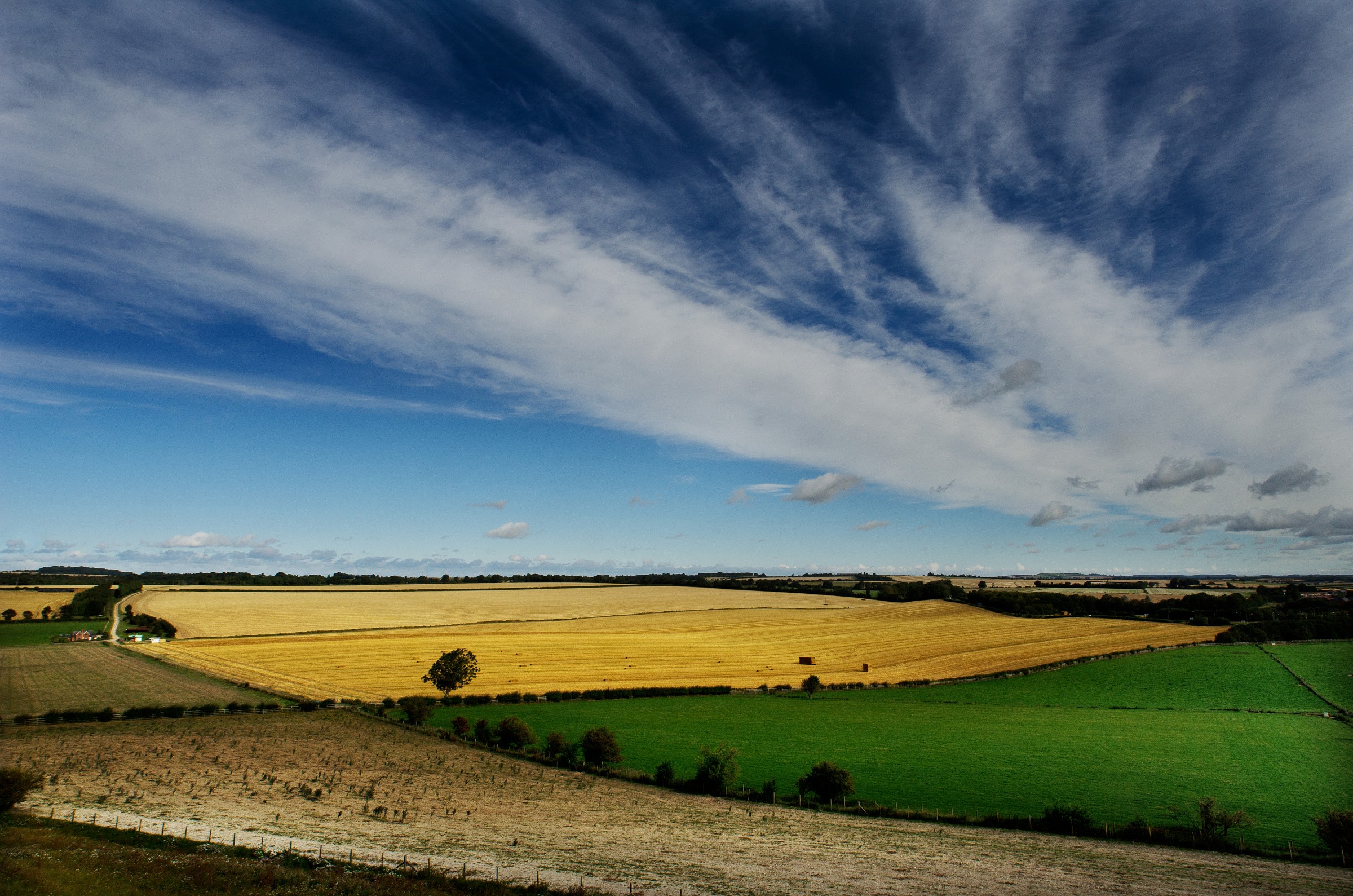 Fields & Sky