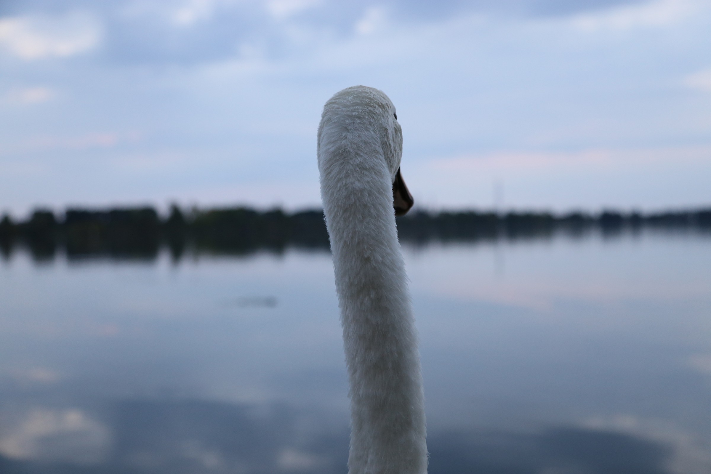 A look to the future!