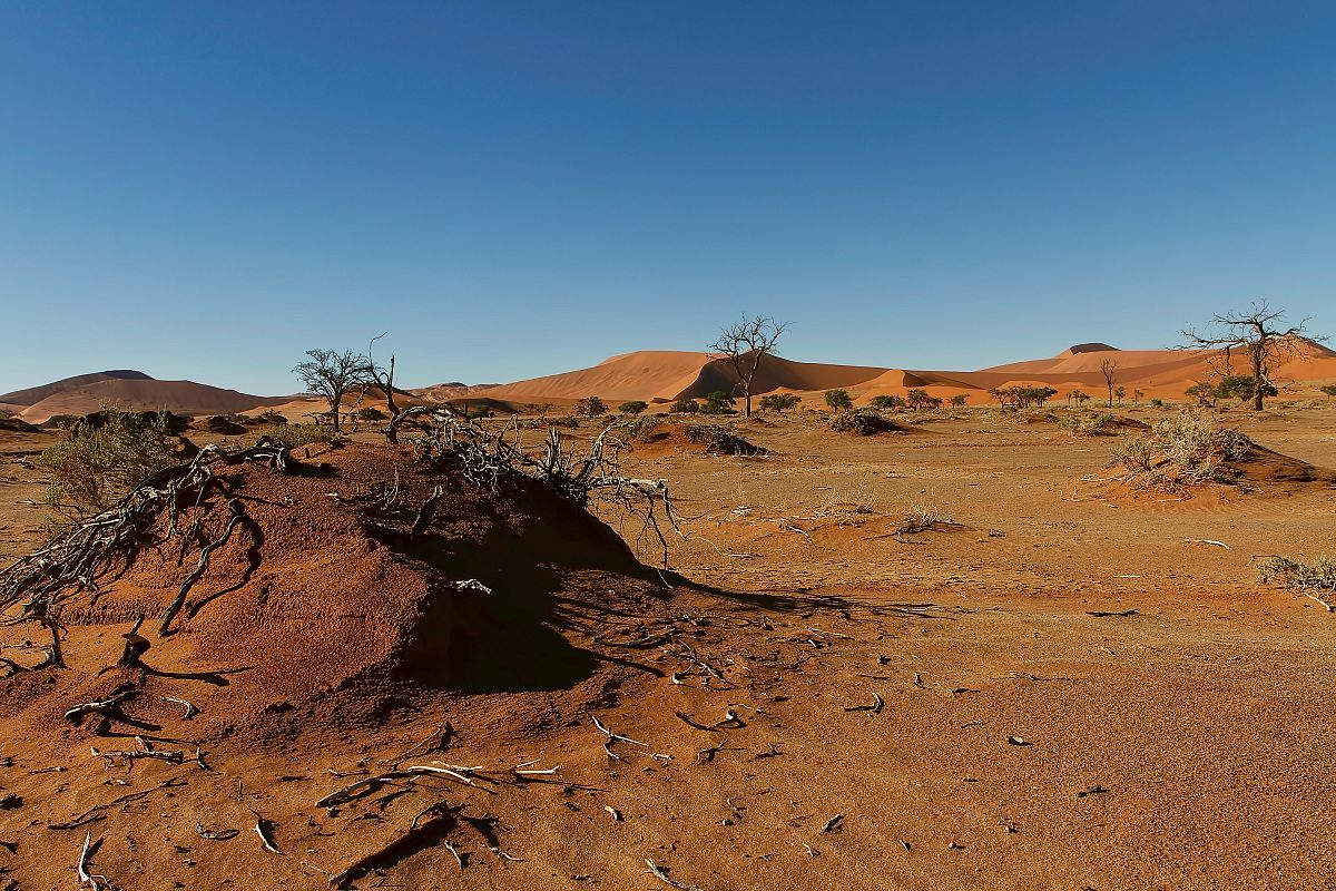 Sossusvlei dal basso